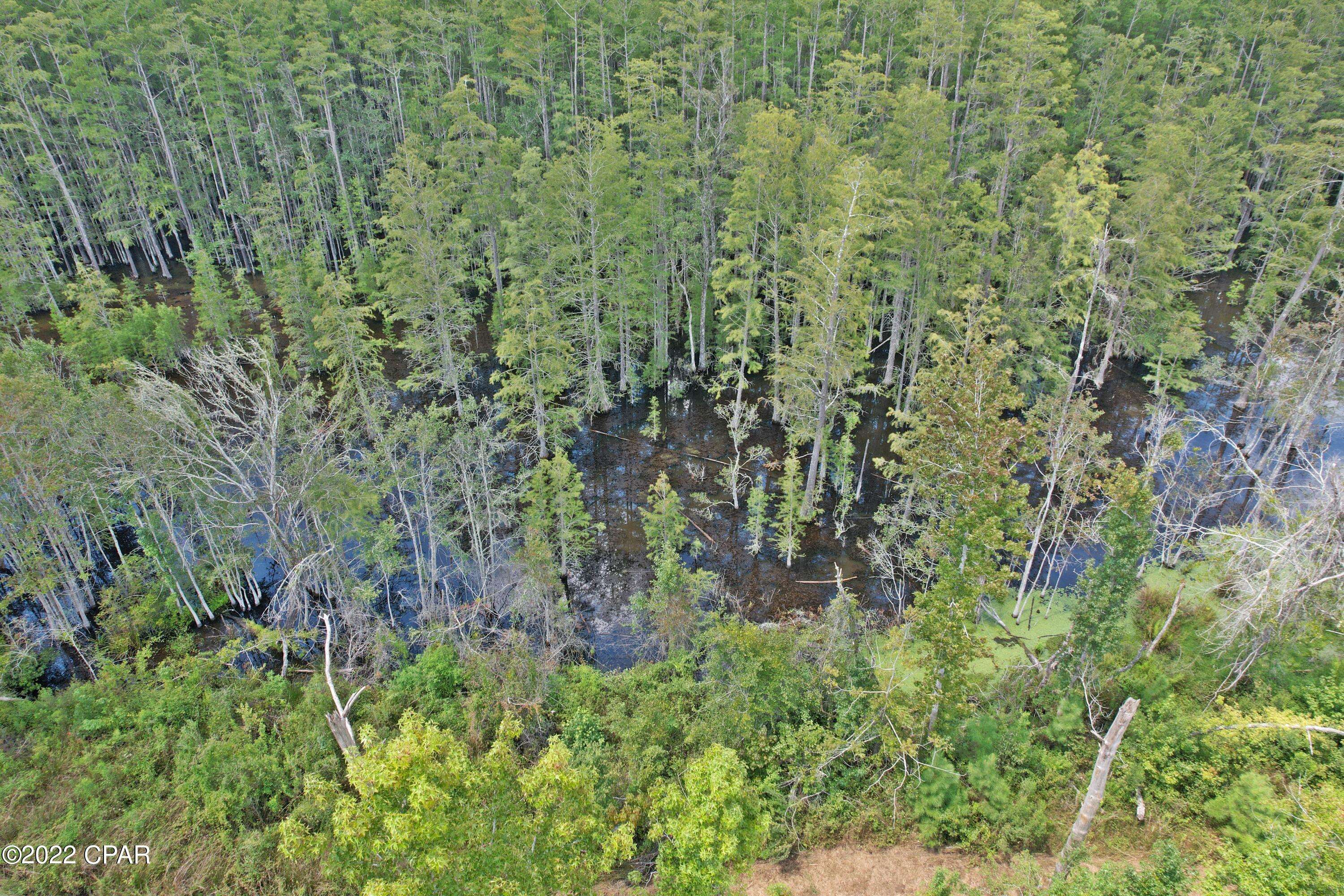 Cottondale, FL 32431,00 Perry RD
