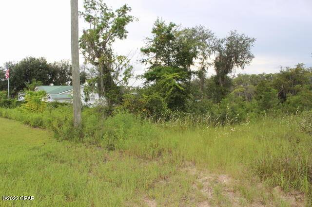 Altha, FL 32421,21558 NW Lake Mckenzie BLVD