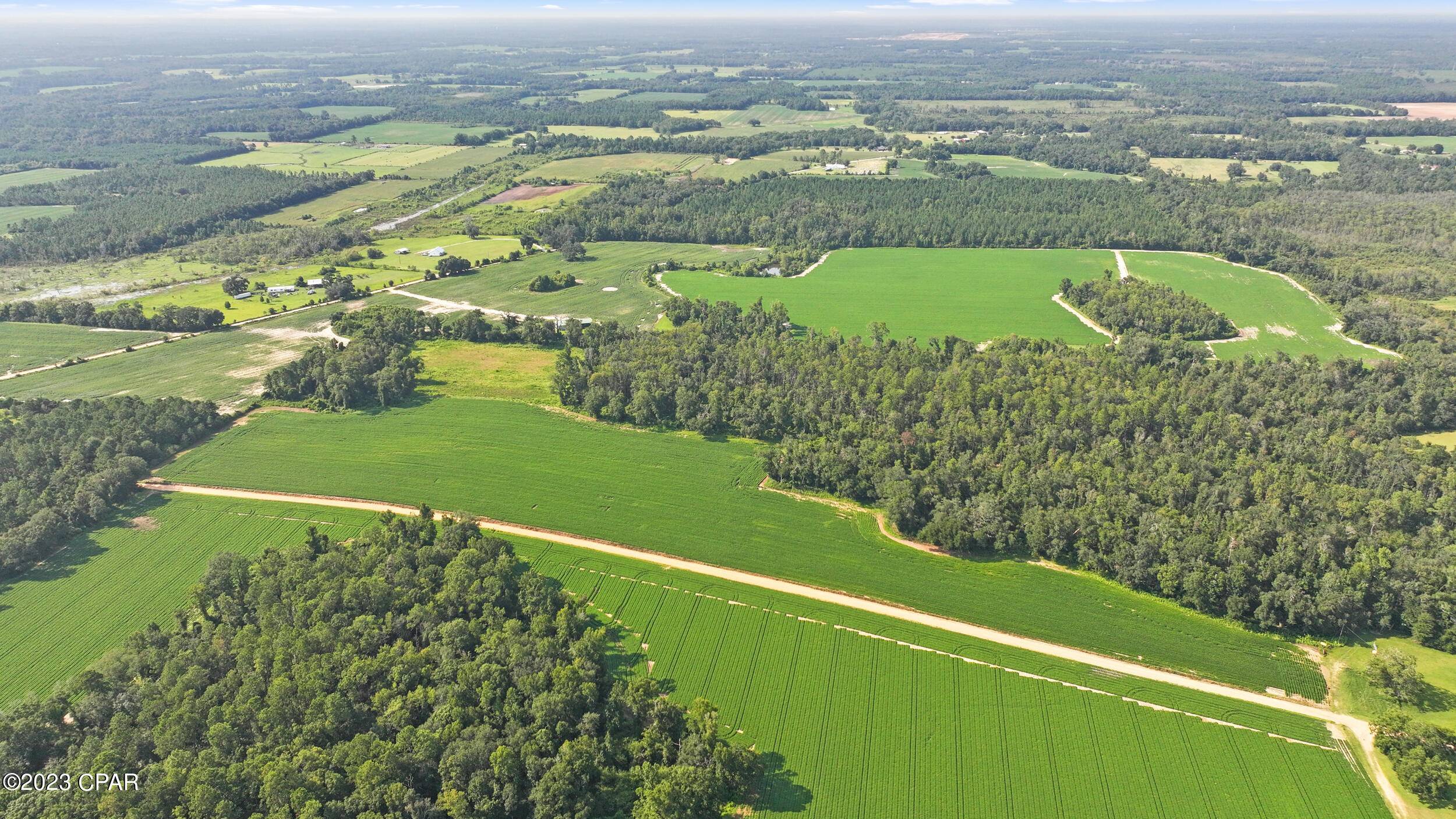 Cottondale, FL 32431,0000 Eldridge RD
