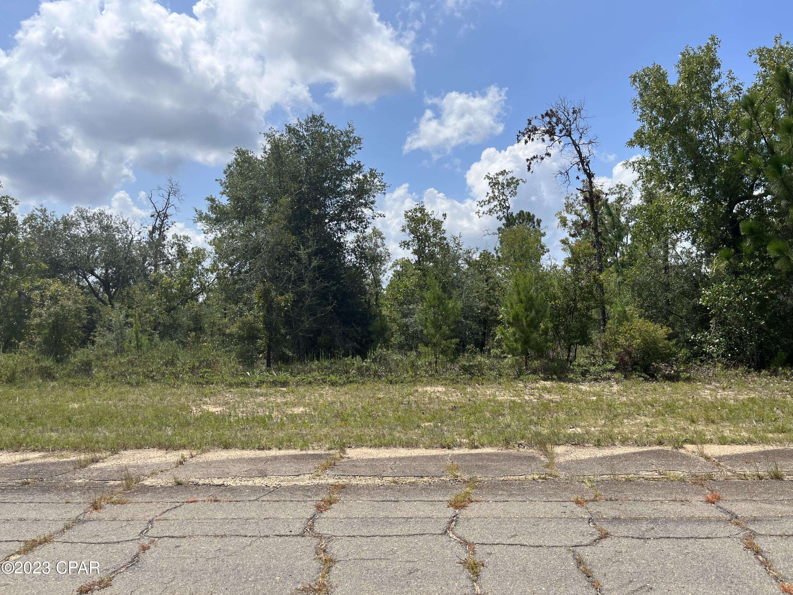 Chipley, FL 32428,Lot 4 Brunswick DR