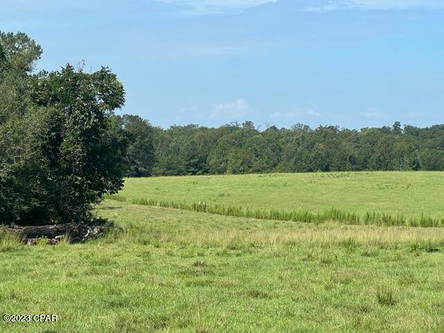Bonifay, FL 32425,1404 Beaver Dam