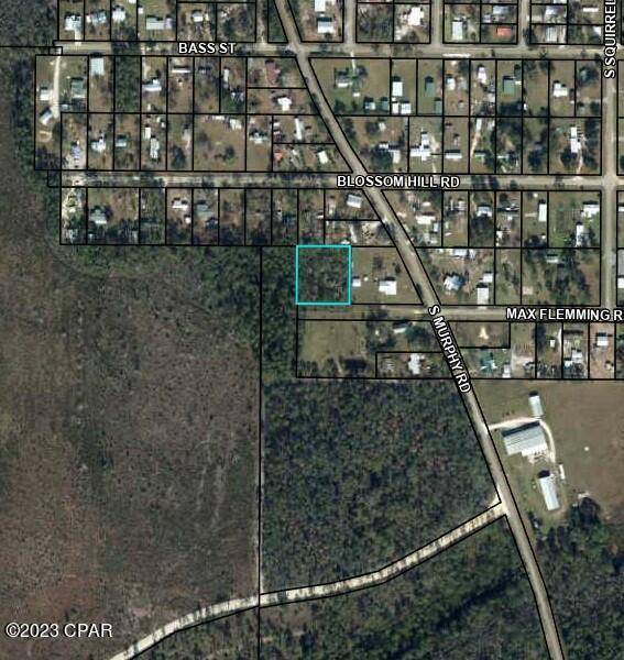 Wewahitchka, FL 32465,TBD Max Flemming RD