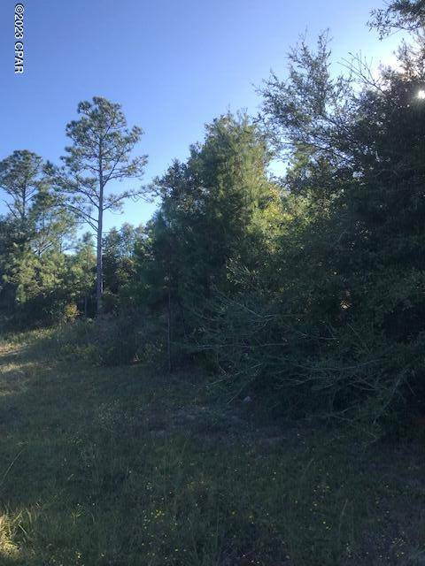 Alford, FL 32420,0 Fairview RD #Lot 2 Blk 90