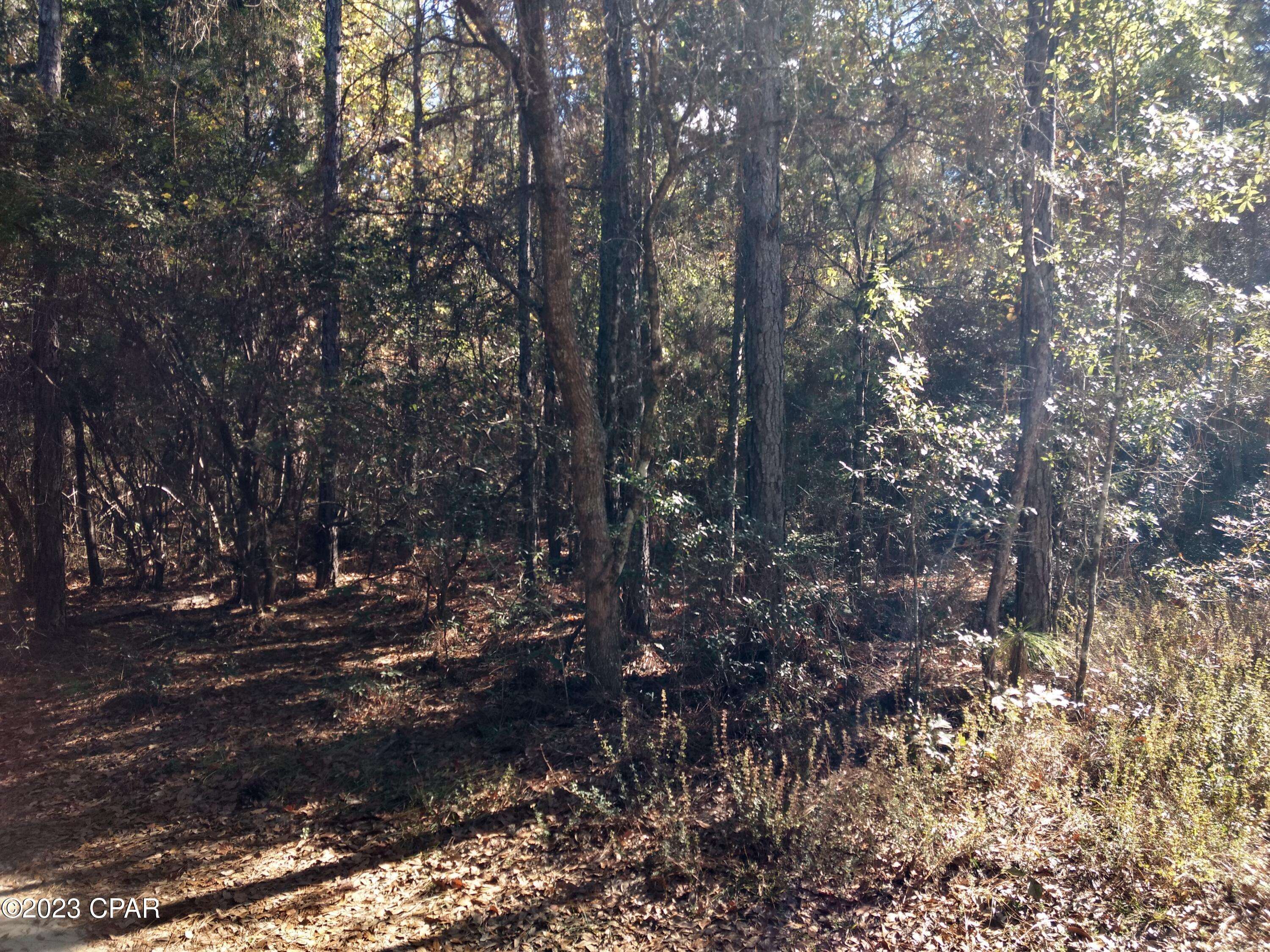 Bonifay, FL 32425,00 Little John