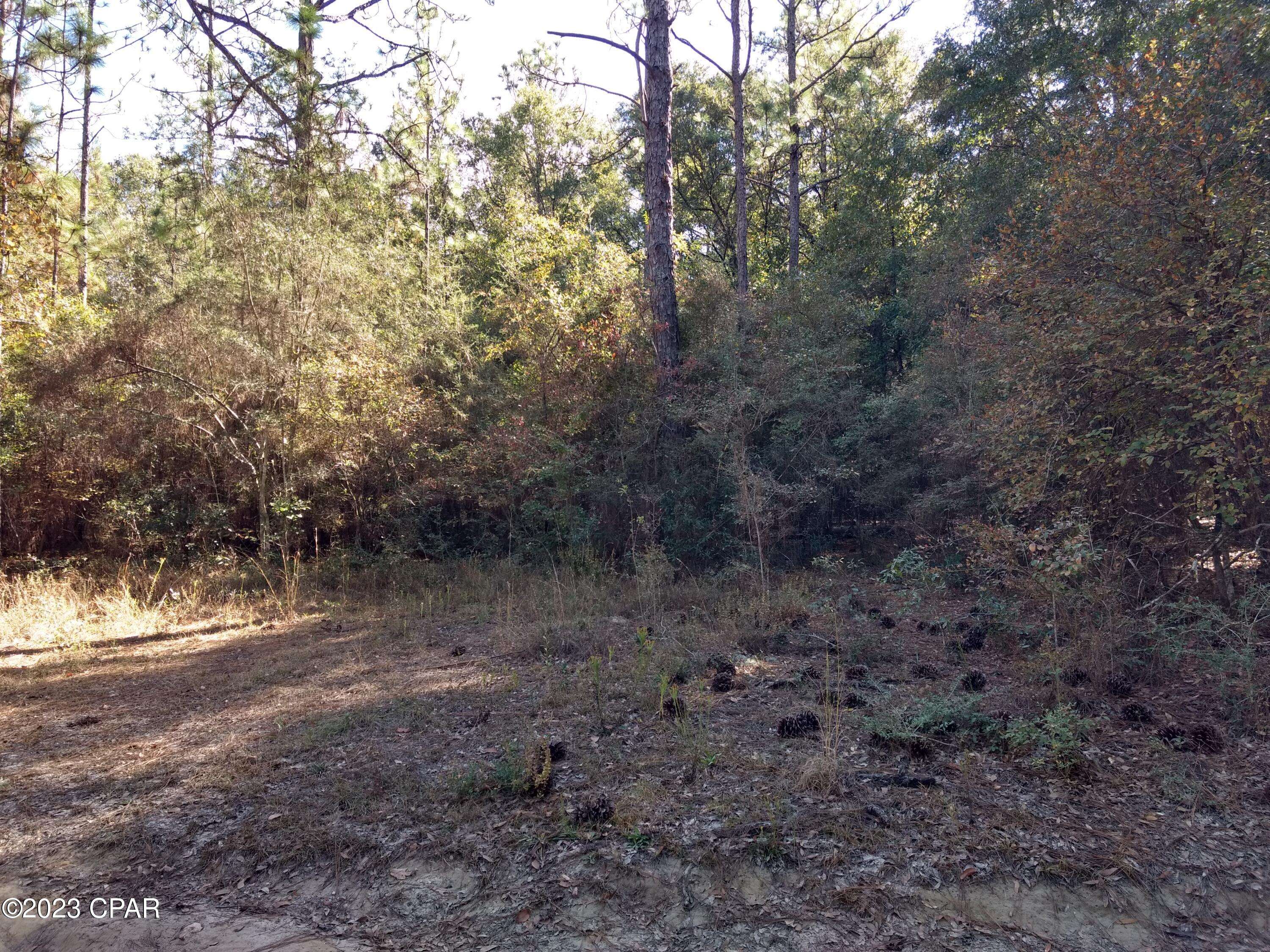 Bonifay, FL 32425,00 Little John