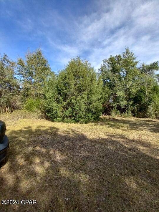 Altha, FL 32421,00 Tommy Tucker RD #Lot 3