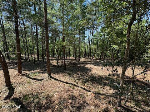 Chipley, FL 32428,TBD Dove CT