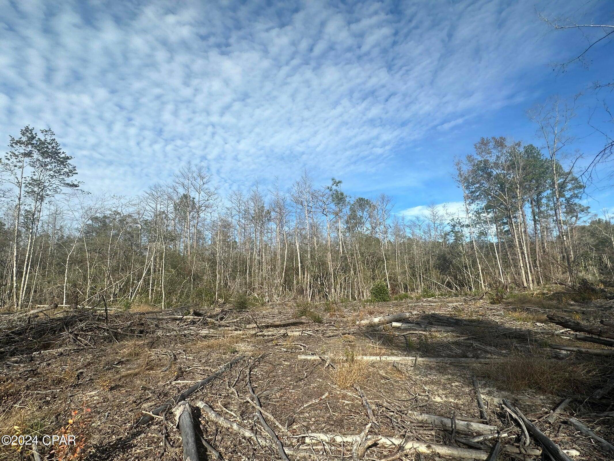 Bonifay, FL 32425,Tract 6331 Sellers RD