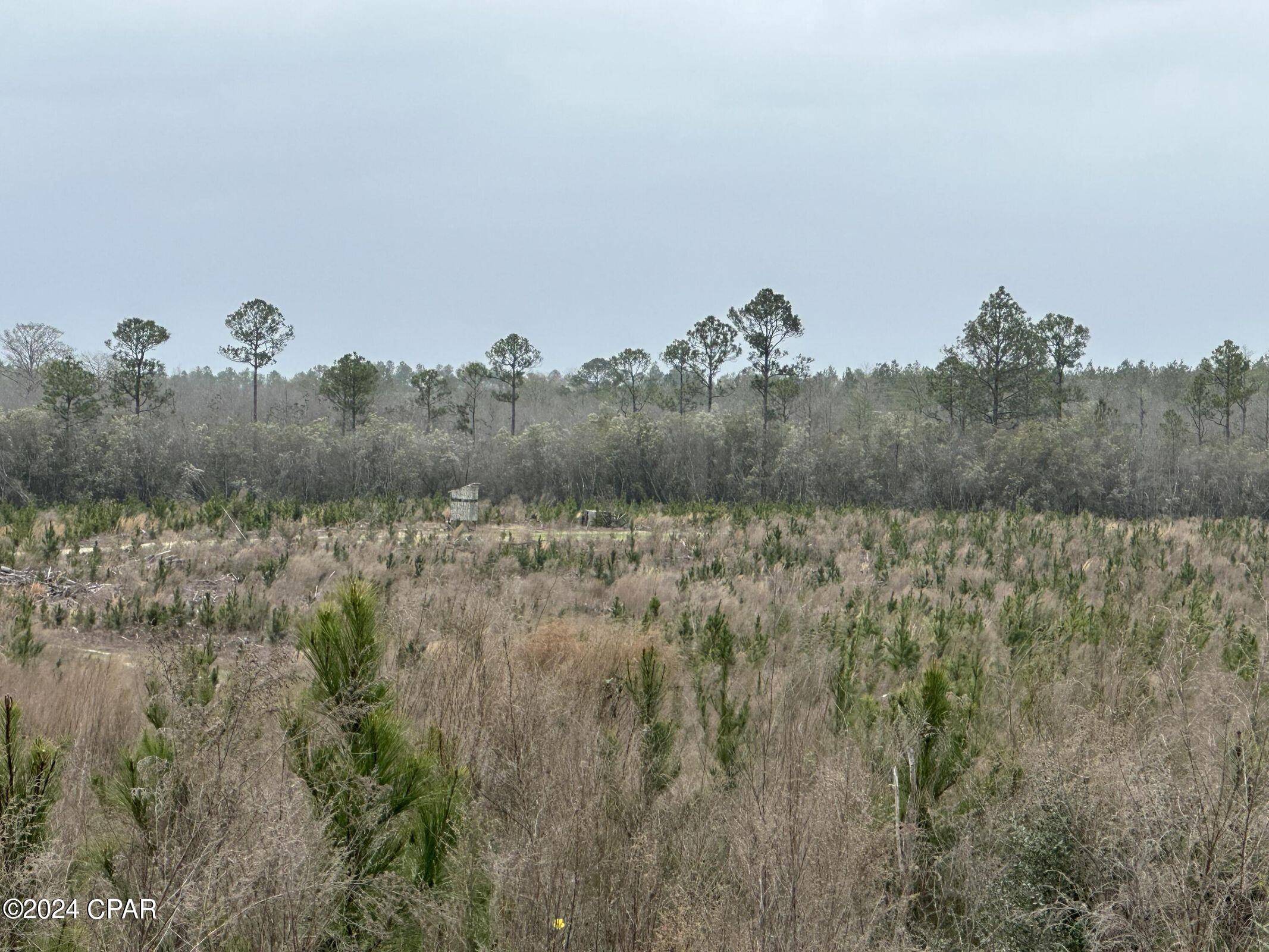 Bonifay, FL 32425,Tract 6336 Sand Path RD