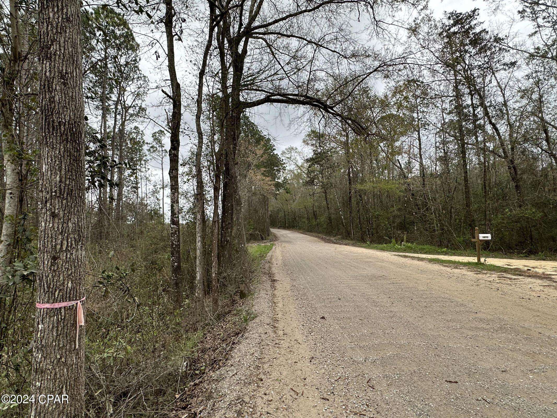 Bonifay, FL 32425,Tract 6336 Sand Path RD