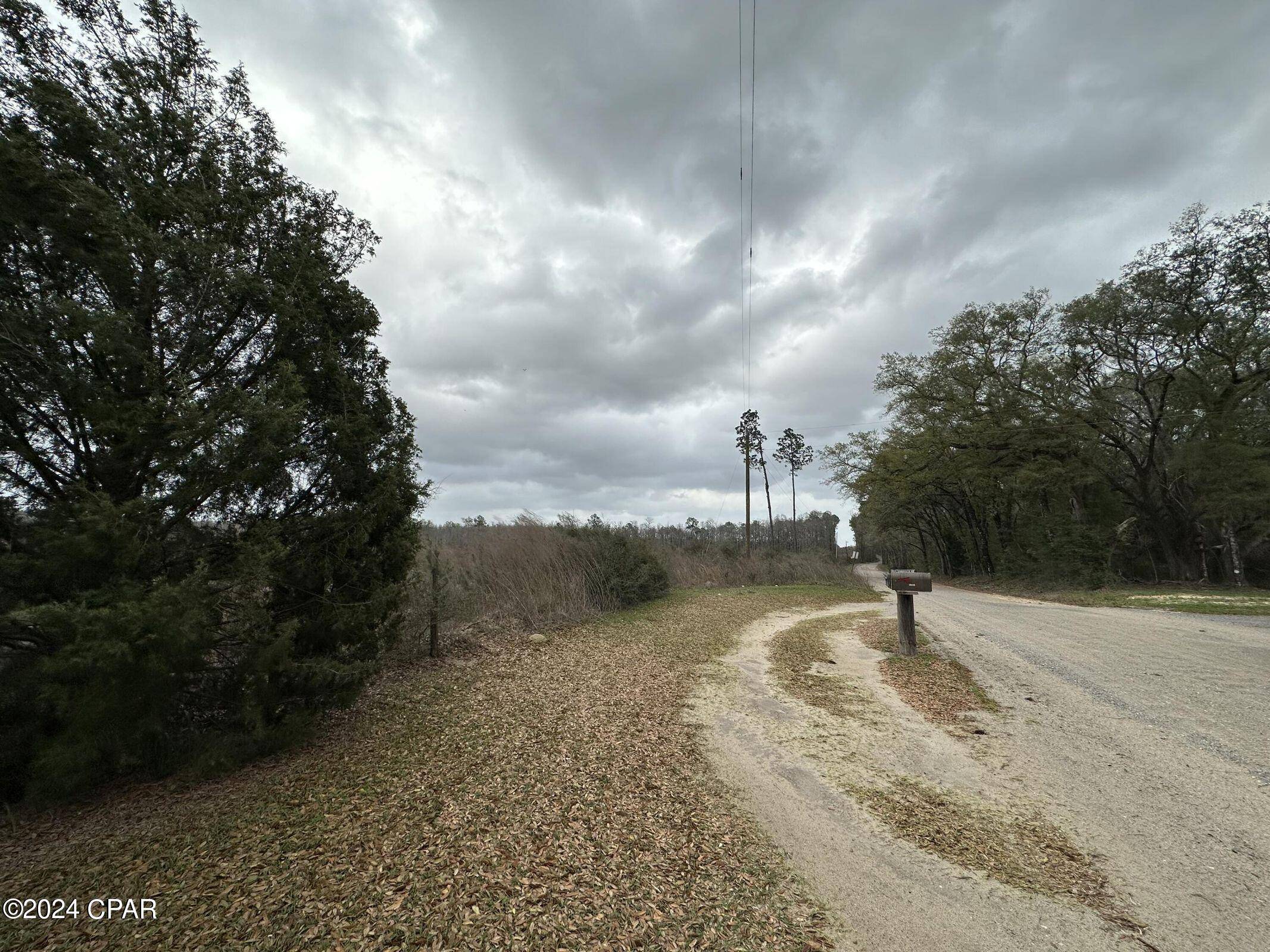 Bonifay, FL 32425,Tract 6336 Sand Path RD