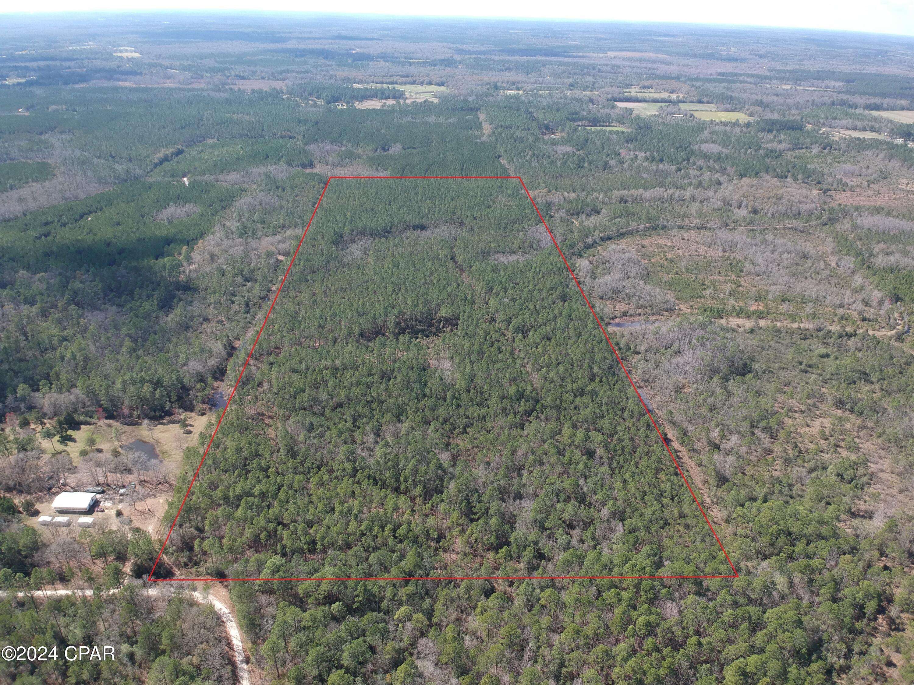 Bonifay, FL 32425,60 acres JW Miller Rd