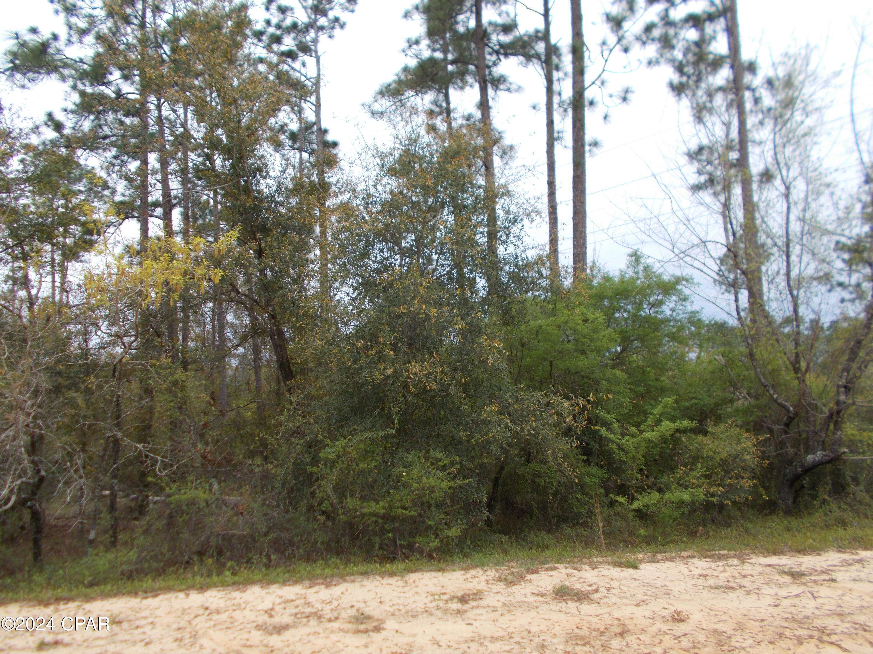 Alford, FL 32420,Lot 7 Castle CIR