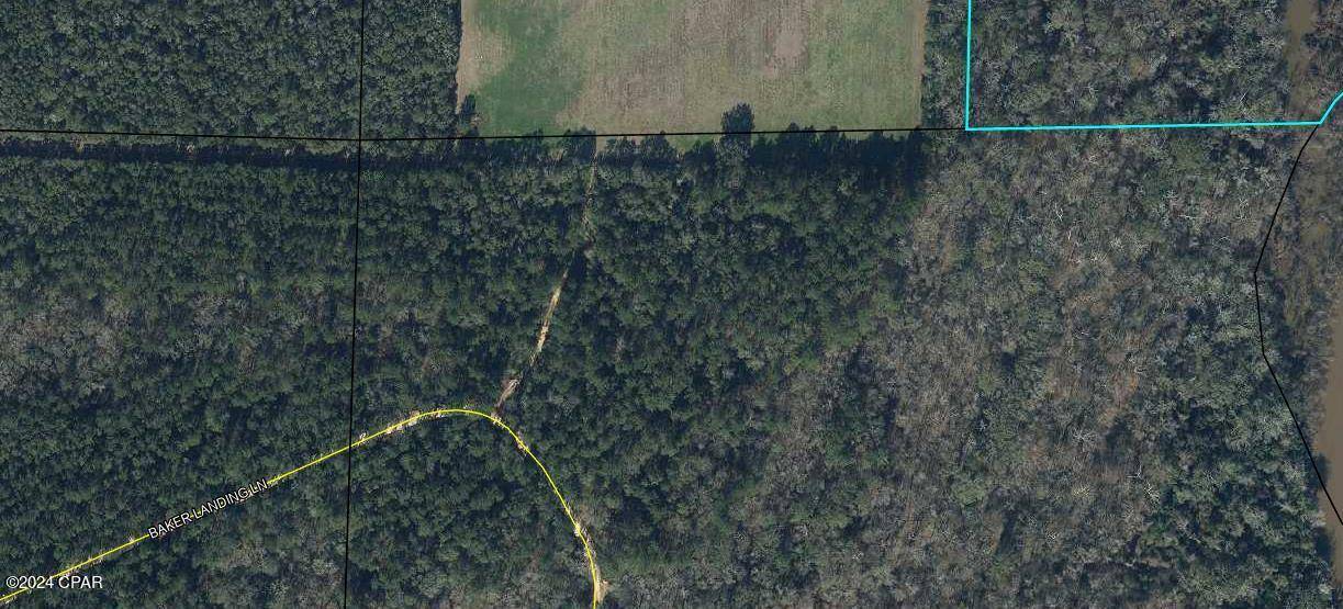 Westville, FL 32464,00 Baker Landing LN