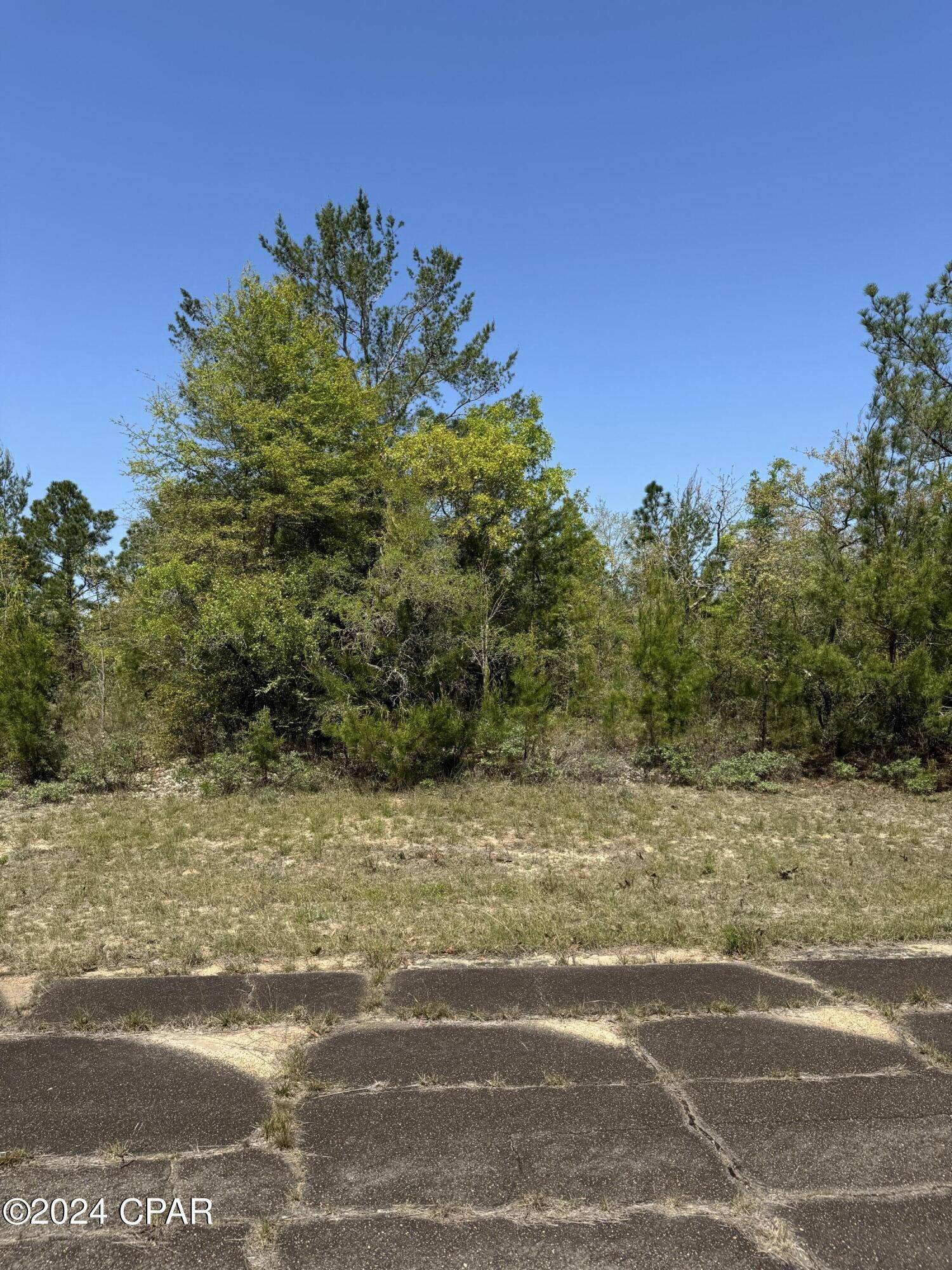 Chipley, FL 32428,TBD 2 Lots