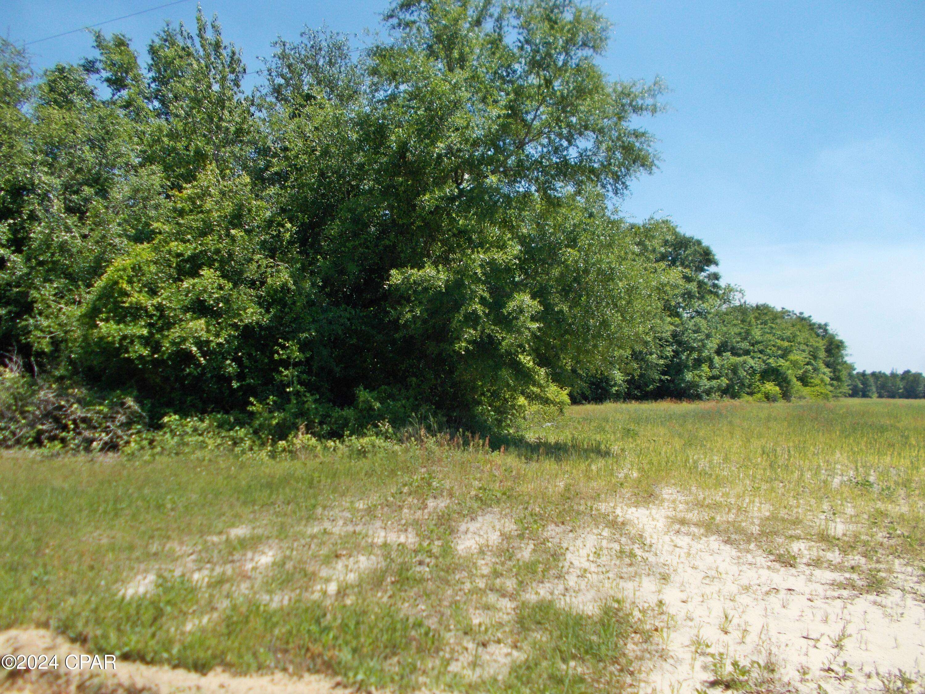Grand Ridge, FL 32442,1Ac Melon LN