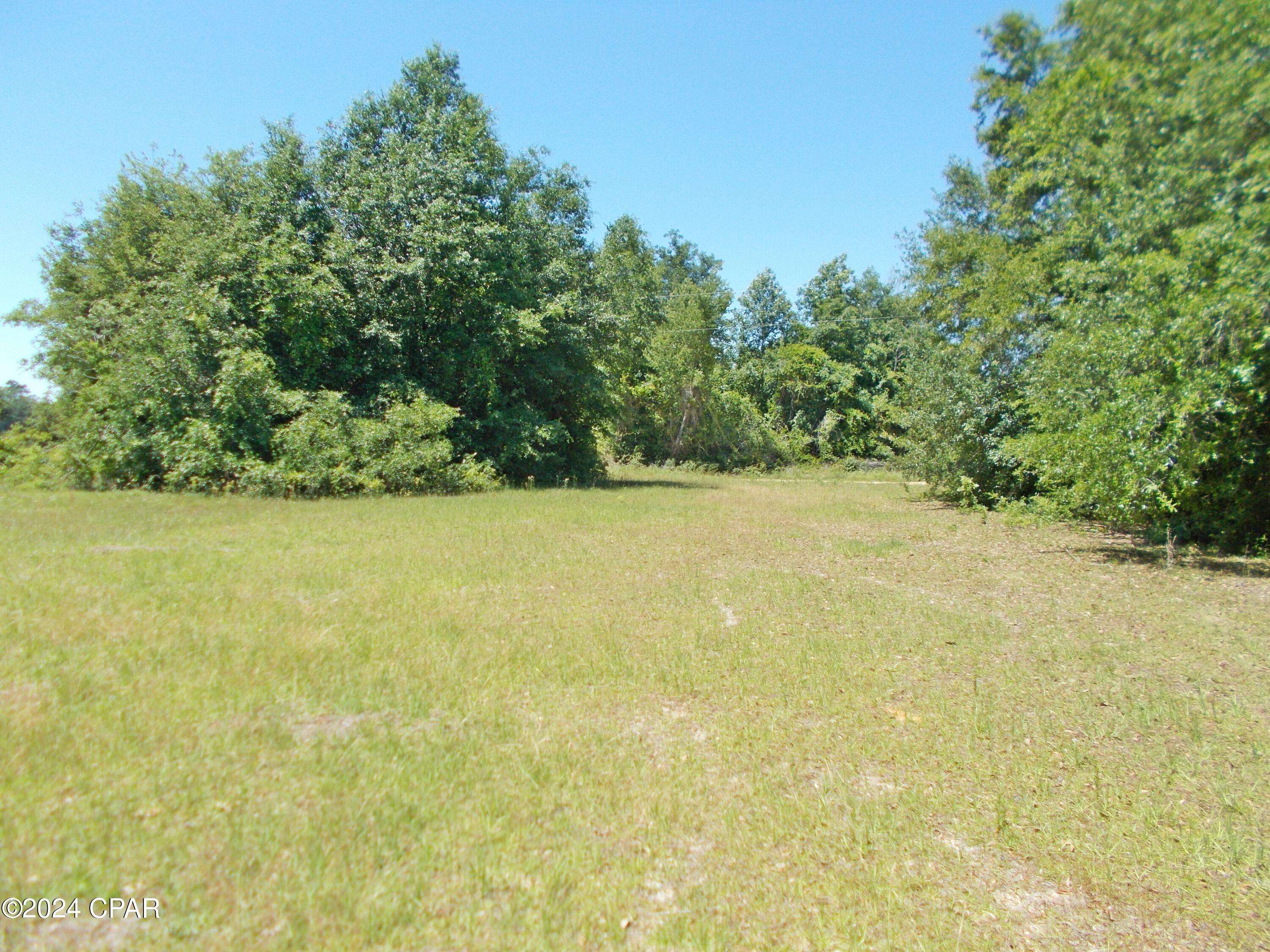 Grand Ridge, FL 32442,1Ac Melon LN