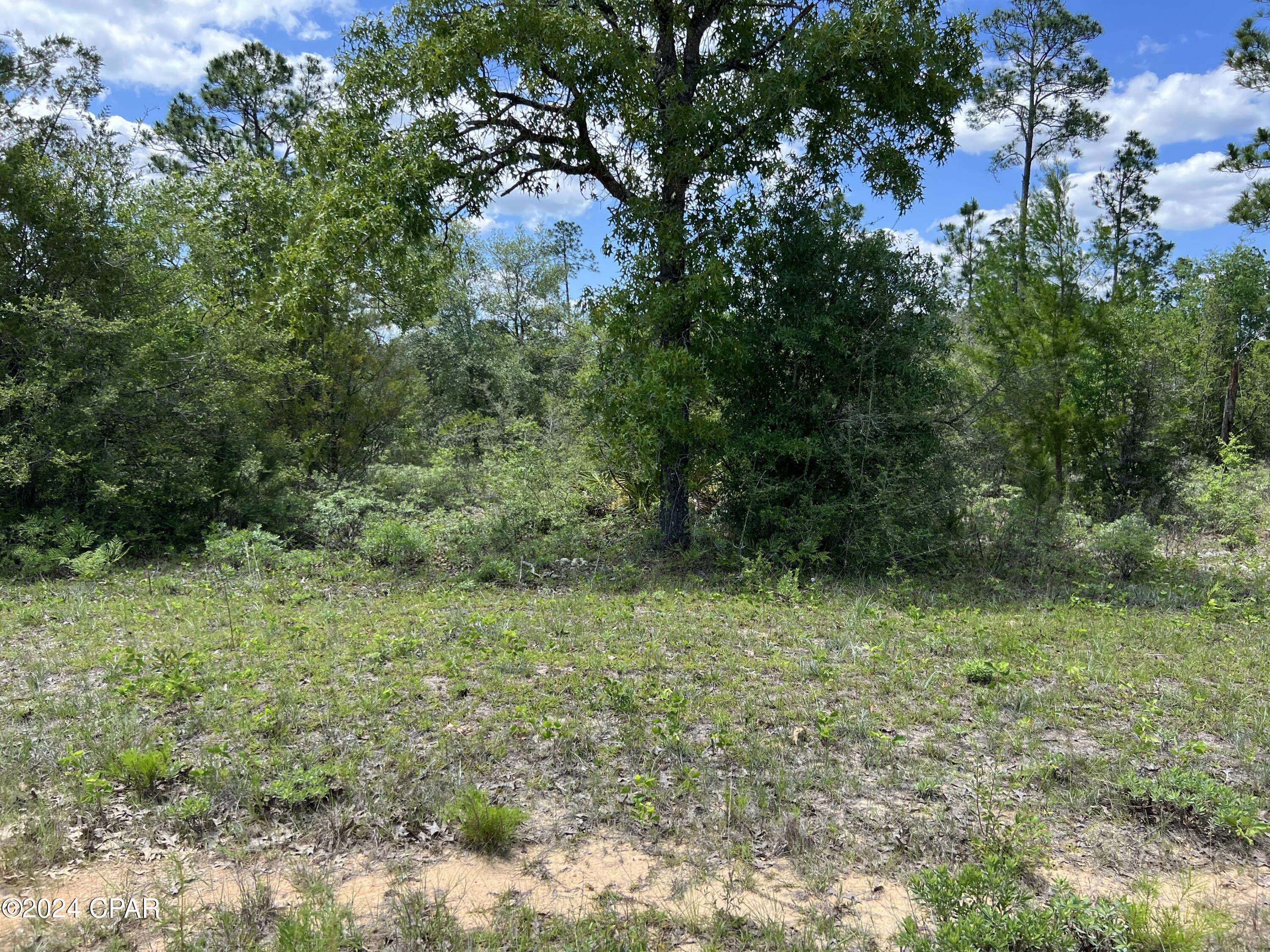 Alford, FL 32420,Lot 6 Cleveland DR