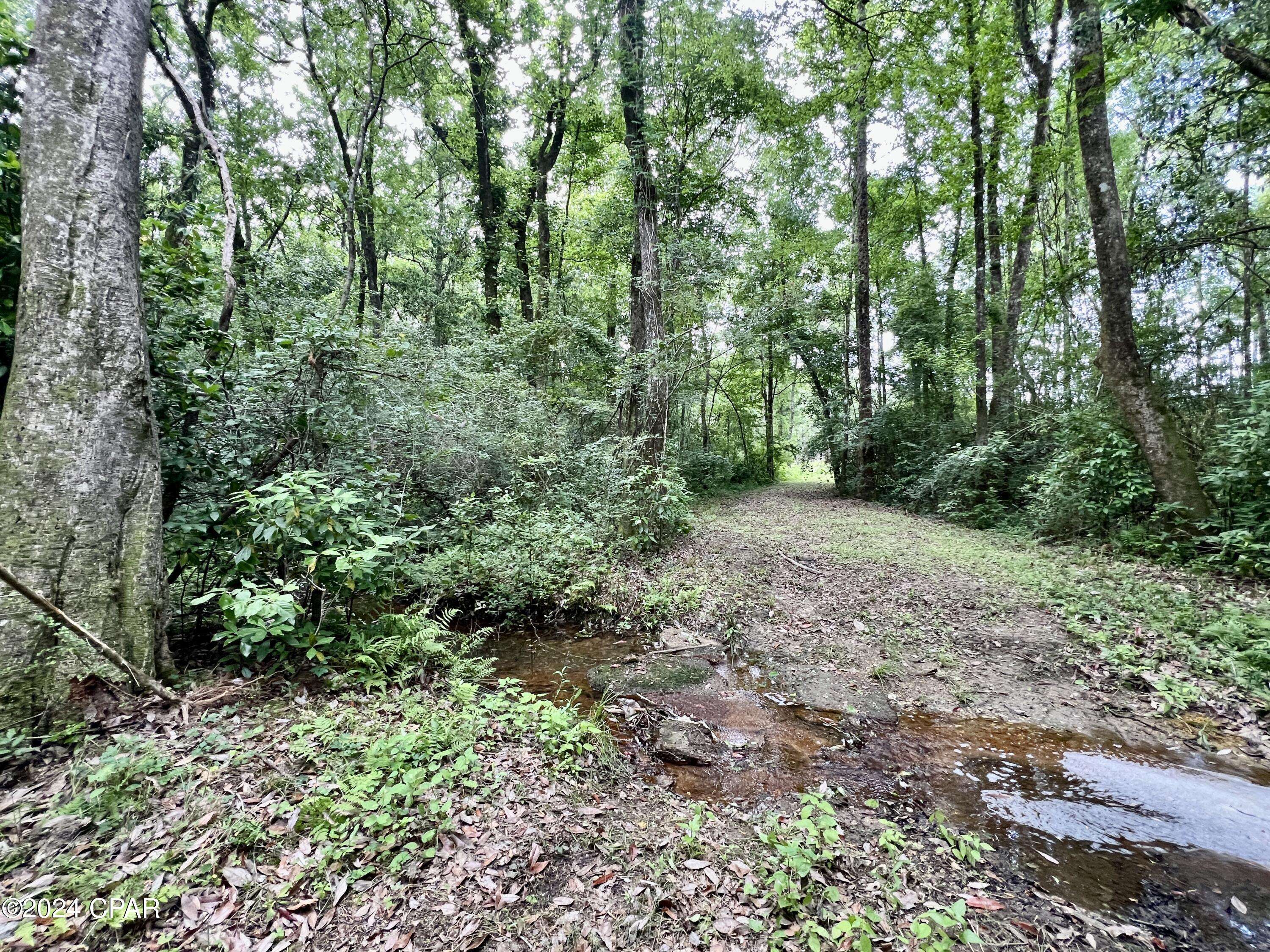 Bonifay, FL 32425,87ac Hwy 179