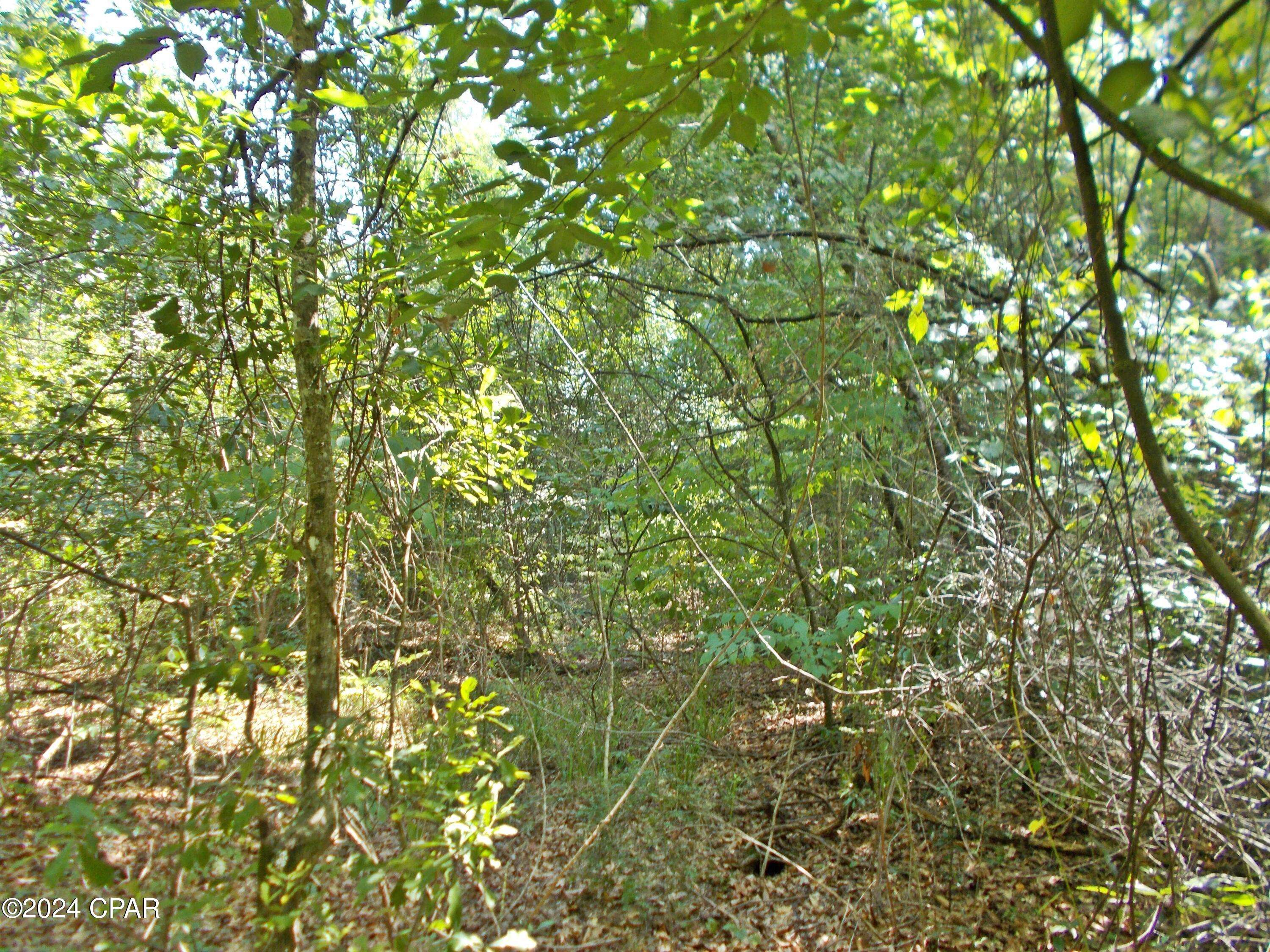 Cottondale, FL 32431,oo Mingo LN