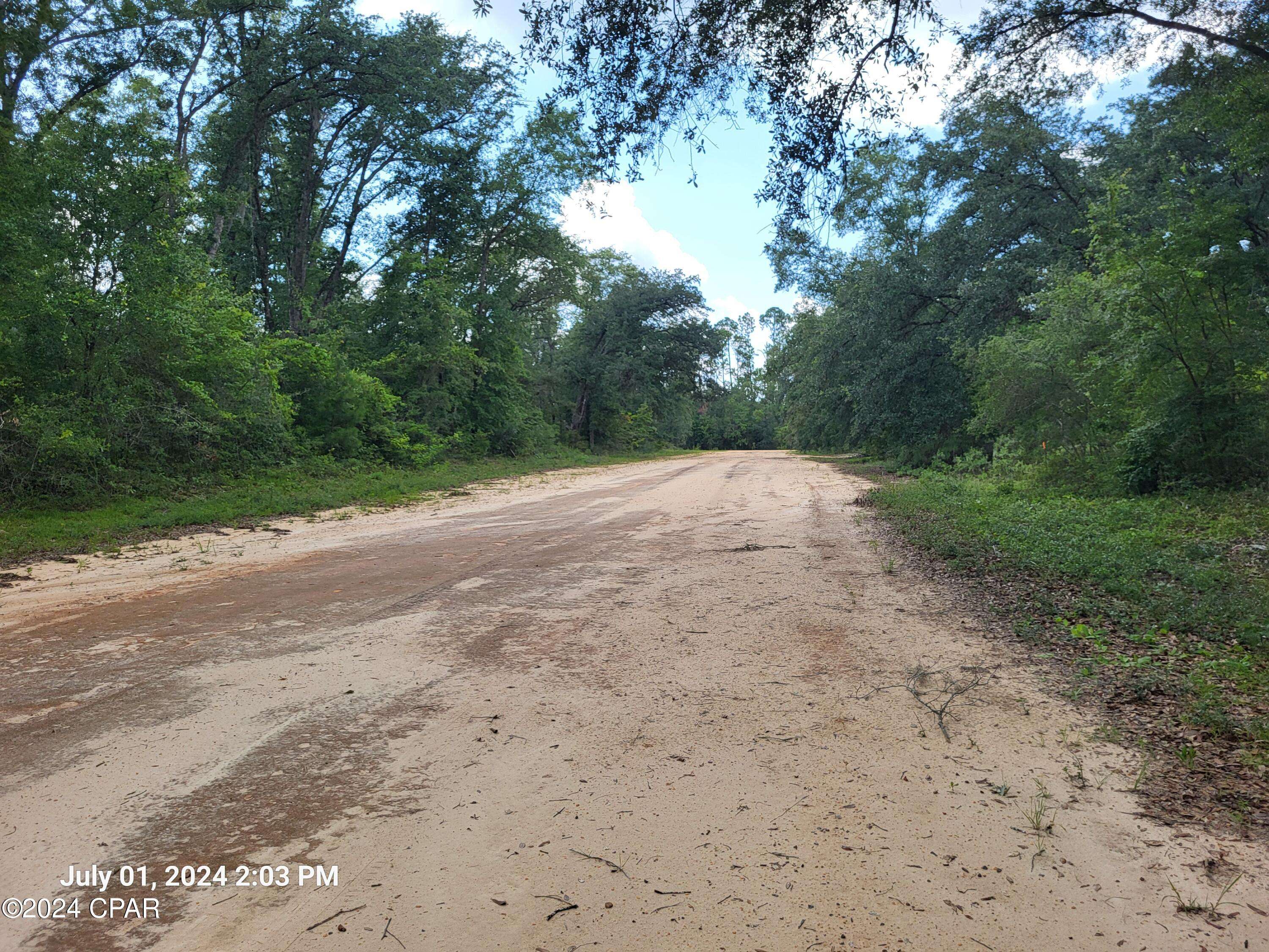 Marianna, FL 32448,00 Persimmons LN