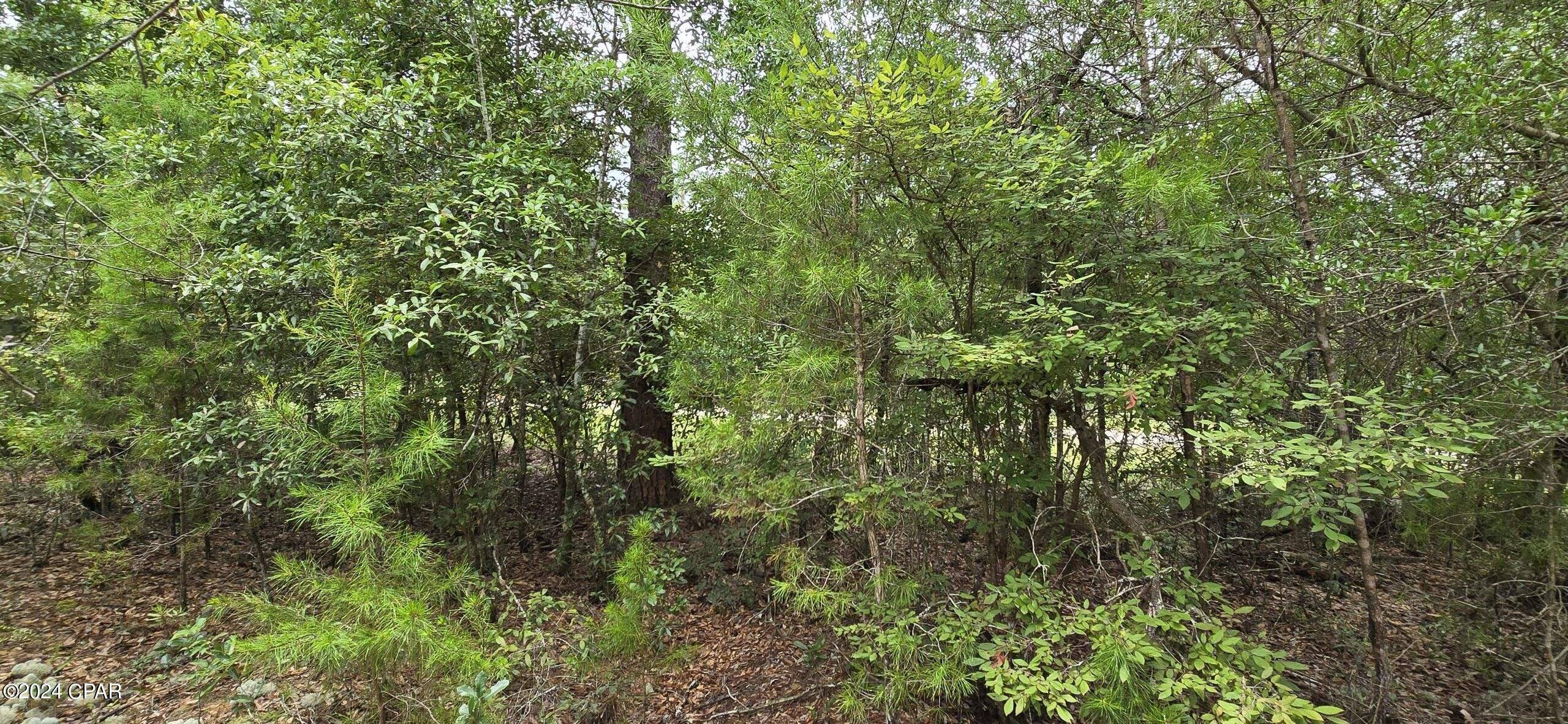 Chipley, FL 32428,Lot 7 Jamaica CIR