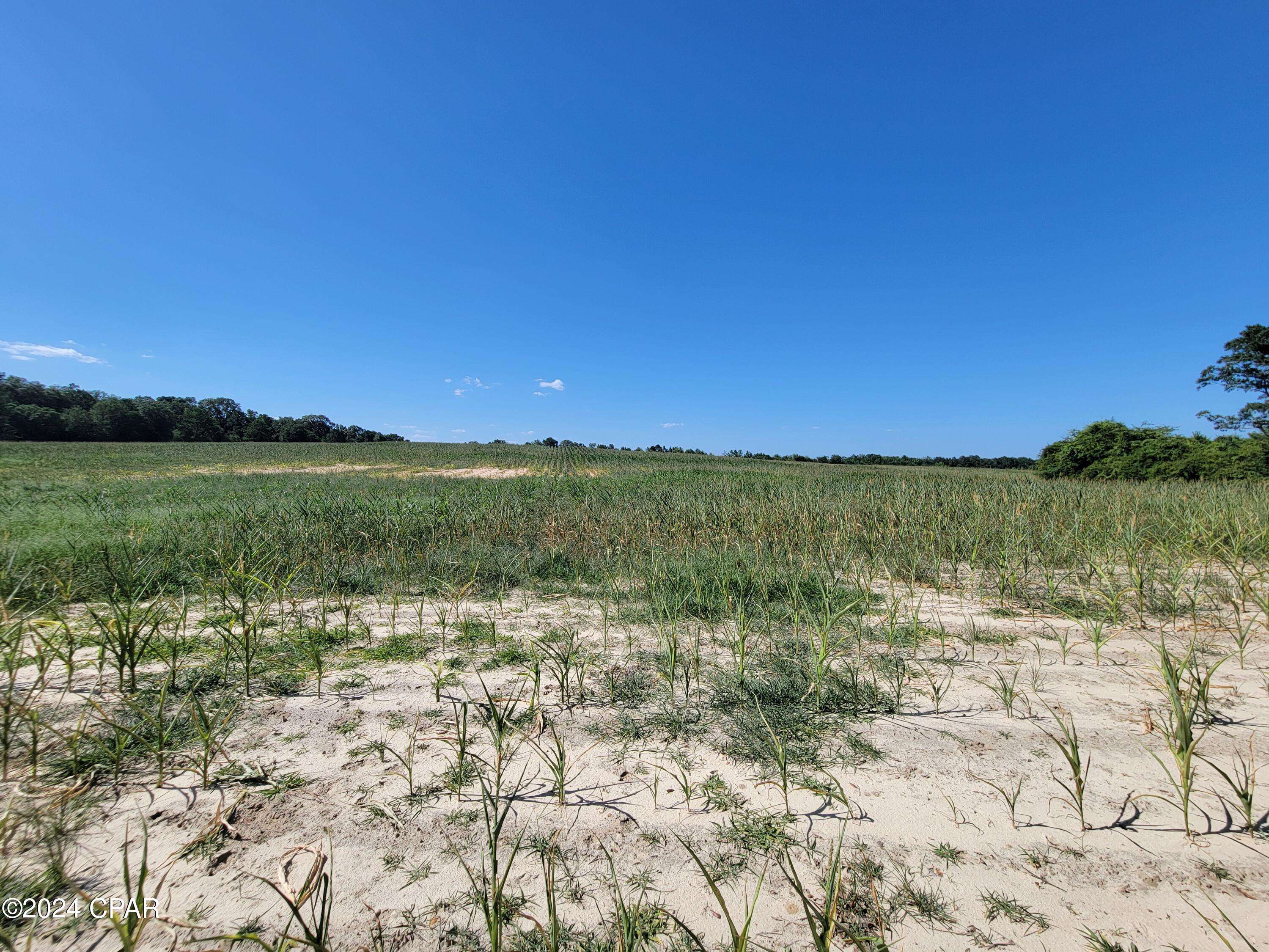 Westville, FL 32464,Lot 4 Bradley RD