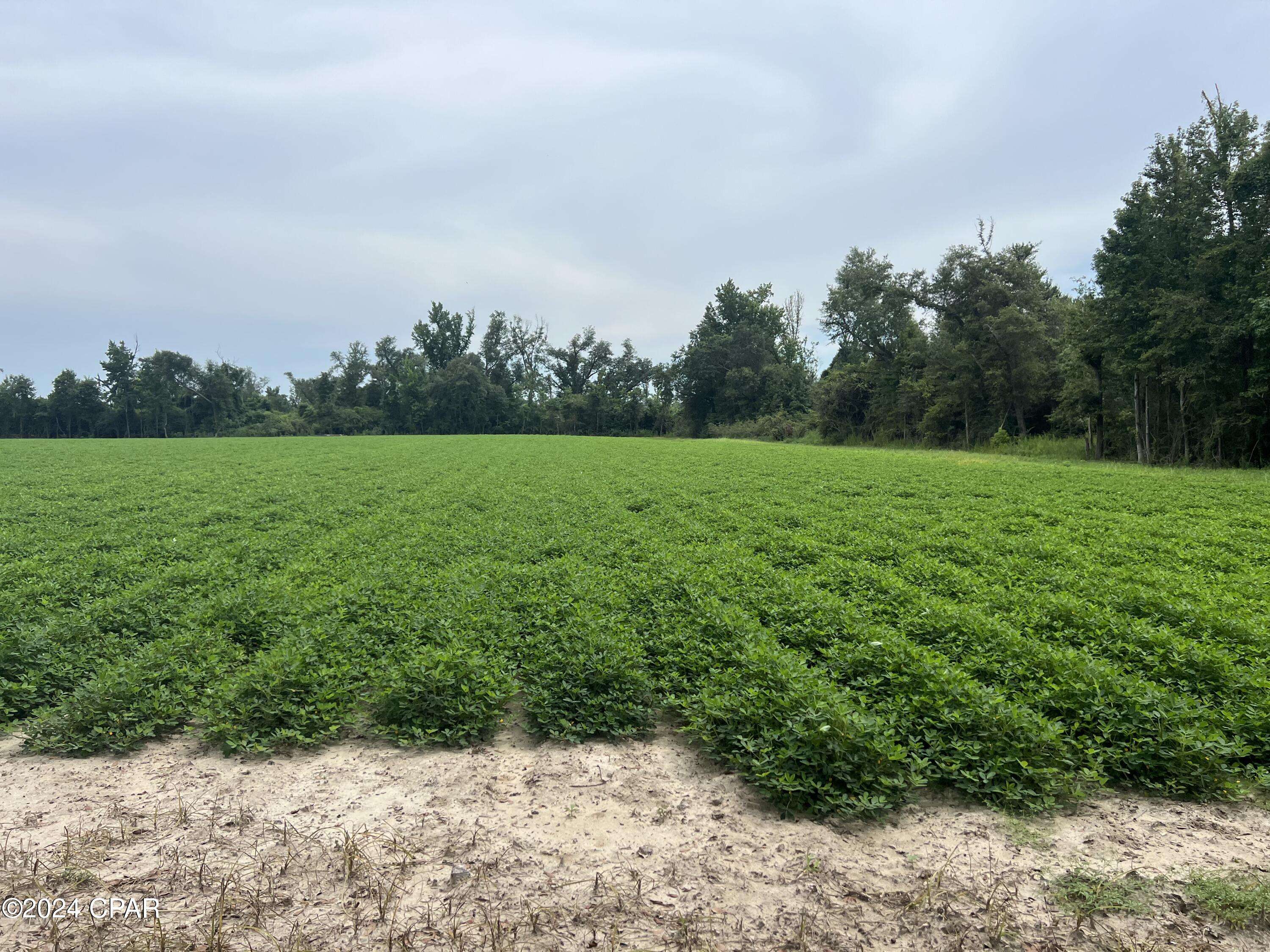 Marianna, FL 32448,2183 N Highway 73 RD