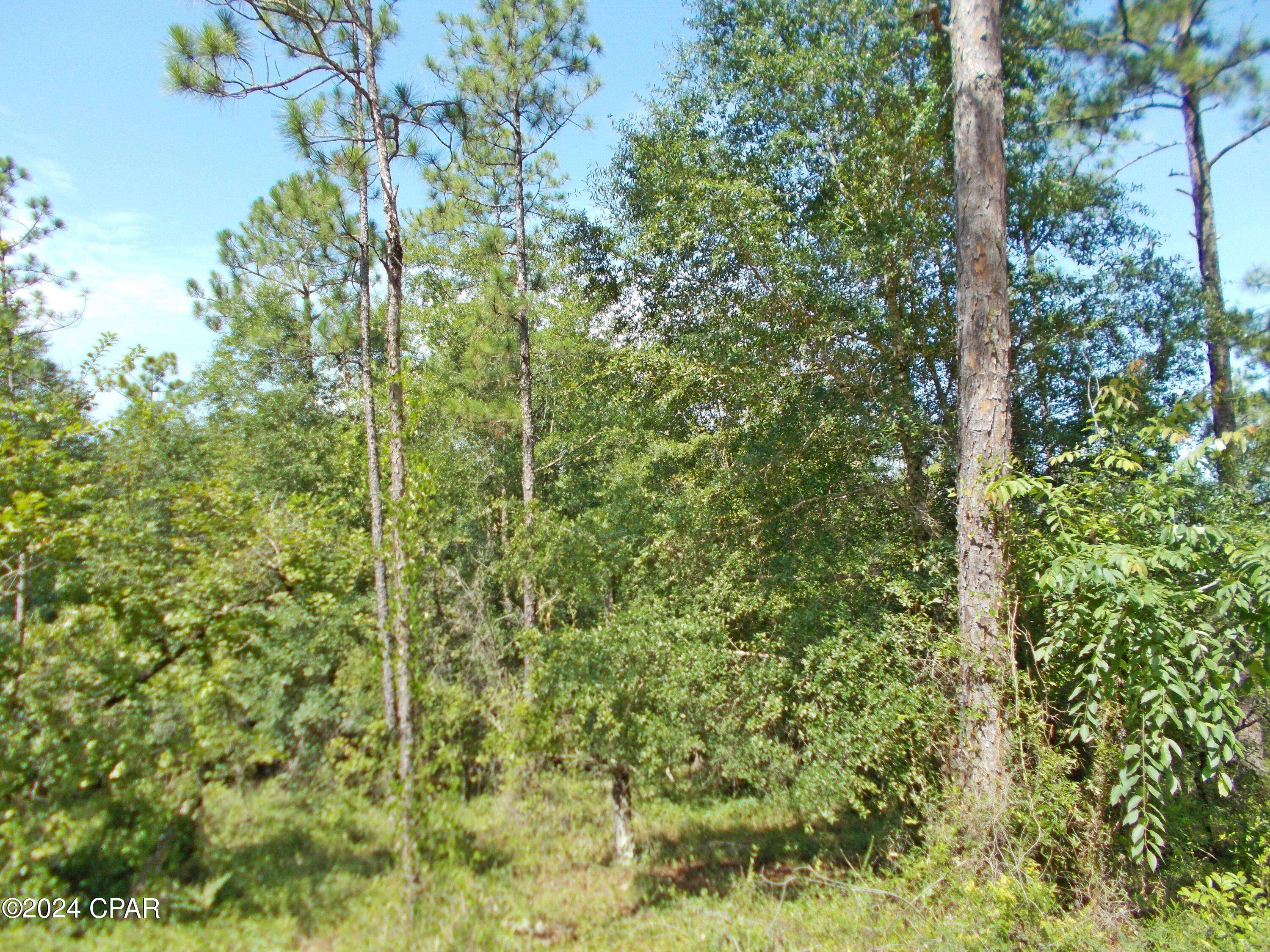 Alford, FL 32420,Lot 10 Castle CIR