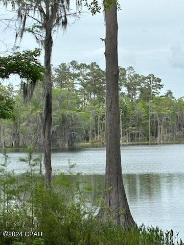 Chipley, FL 32428,Lot 20 Magnolia DR