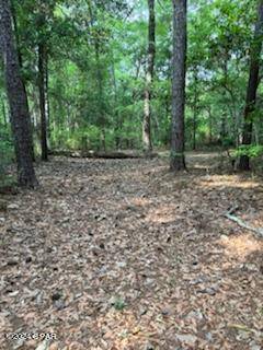 Chipley, FL 32428,Lot 20 Magnolia DR