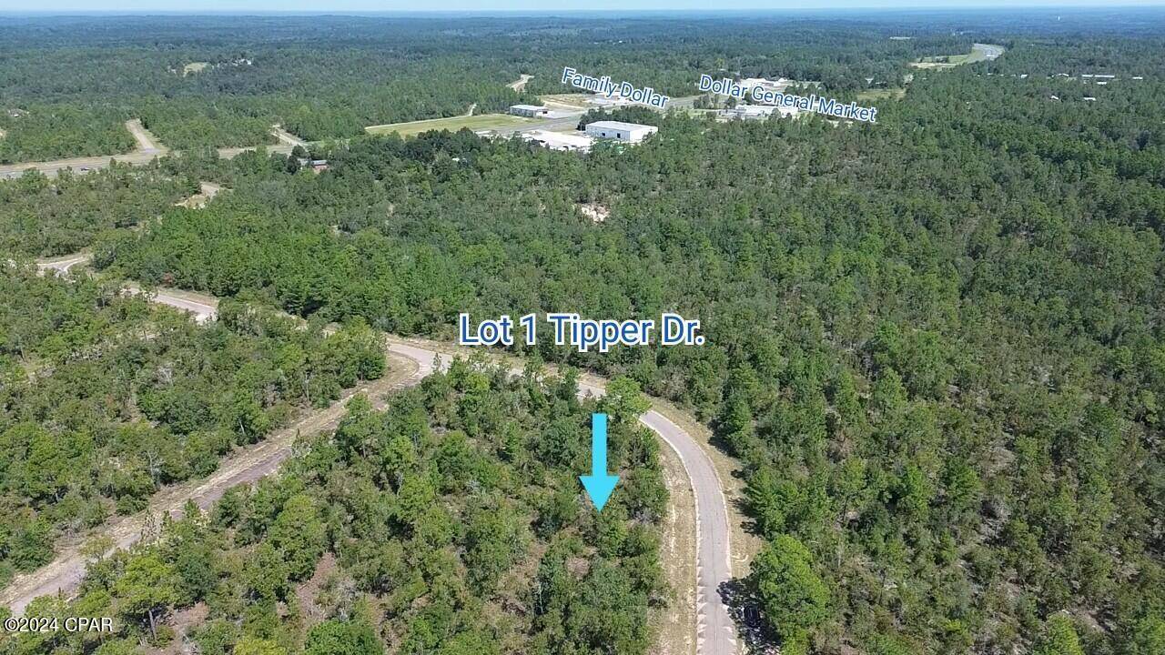 Chipley, FL 32428,Lot 1 Tippet DR