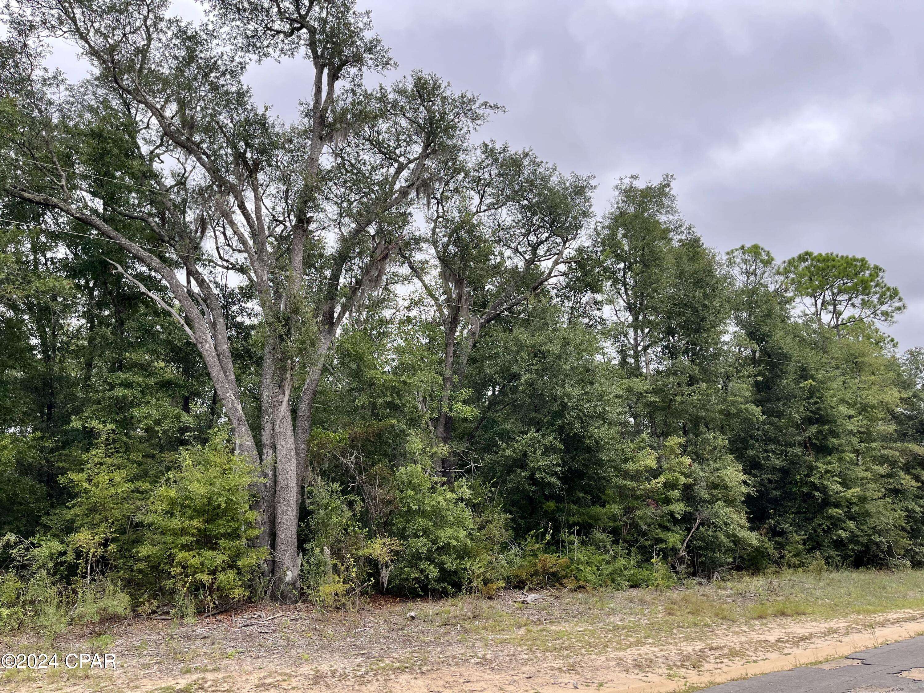 Chipley, FL 32428,Lot 6 Cavalier DR