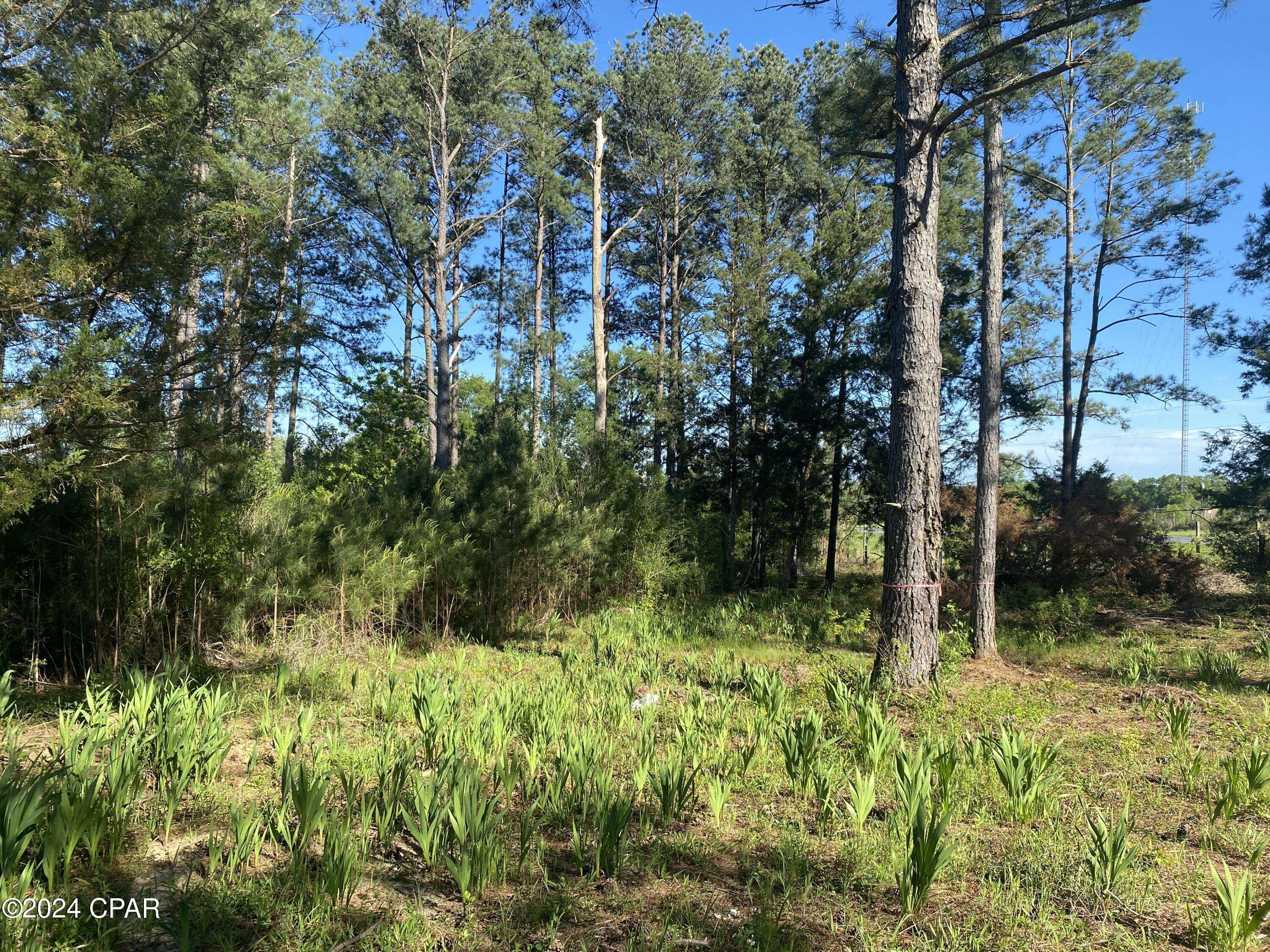 Bonifay, FL 32425,2341 Sweetgum DR