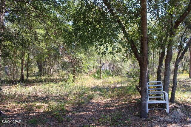 Altha, FL 32421,4667 NW Lake Shore BLVD