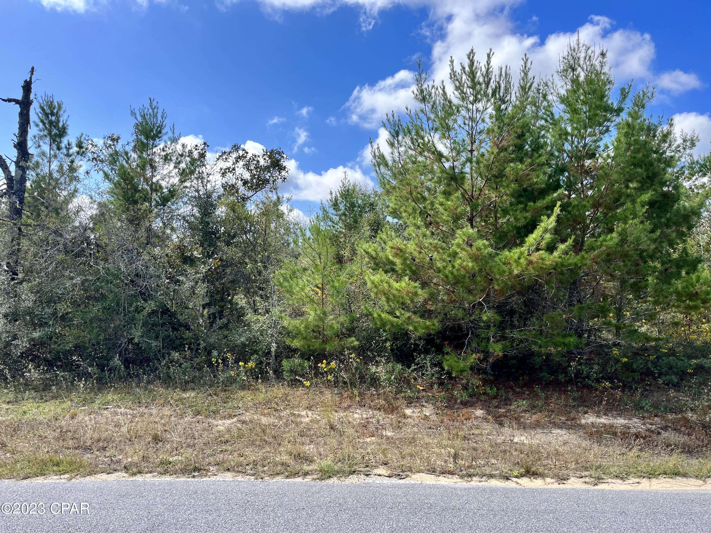 Chipley, FL 32428,Lot 18 Deltona BLVD