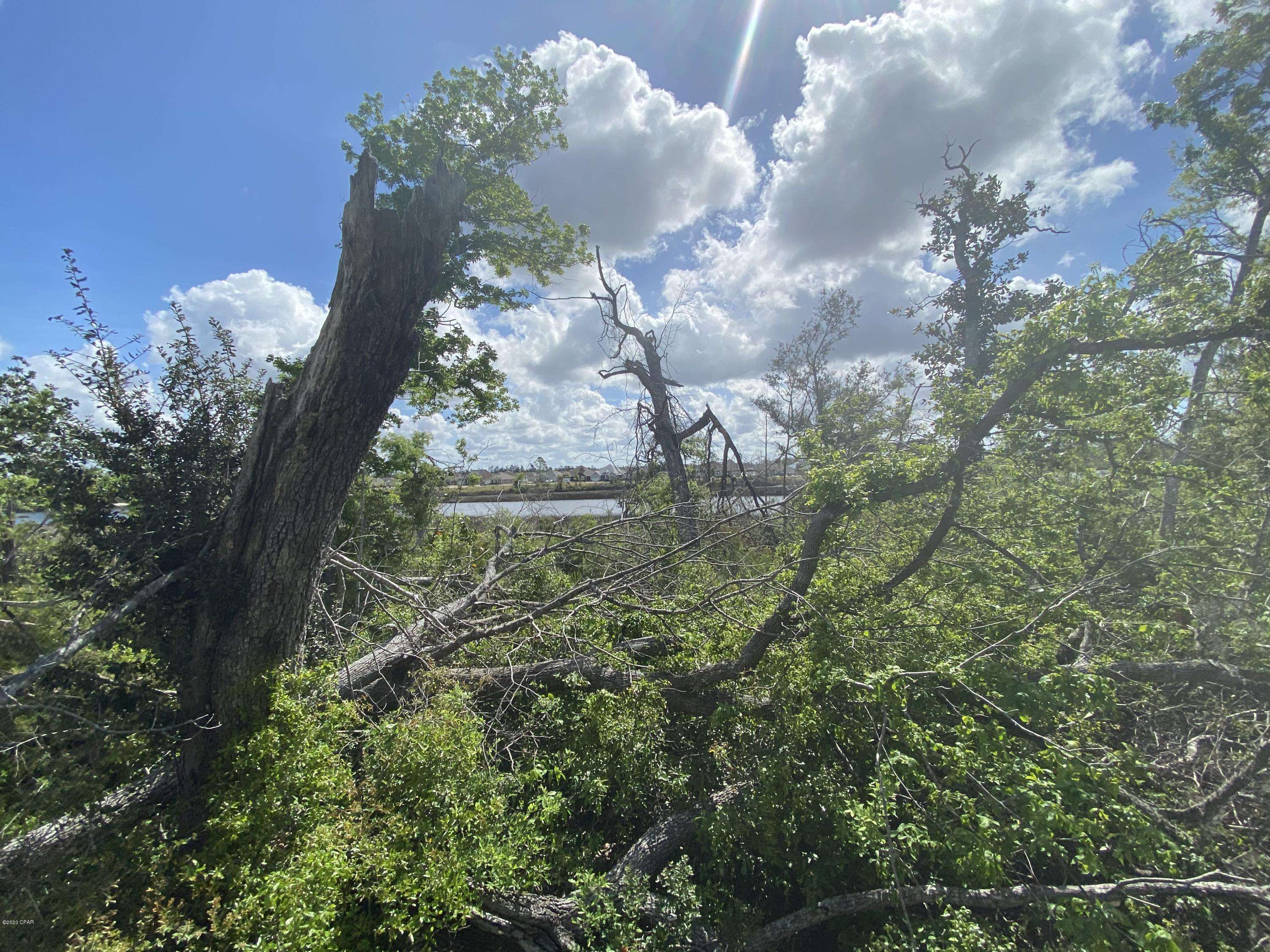Lynn Haven, FL 32444,405 MEADOWVIEW TER #LOT 3