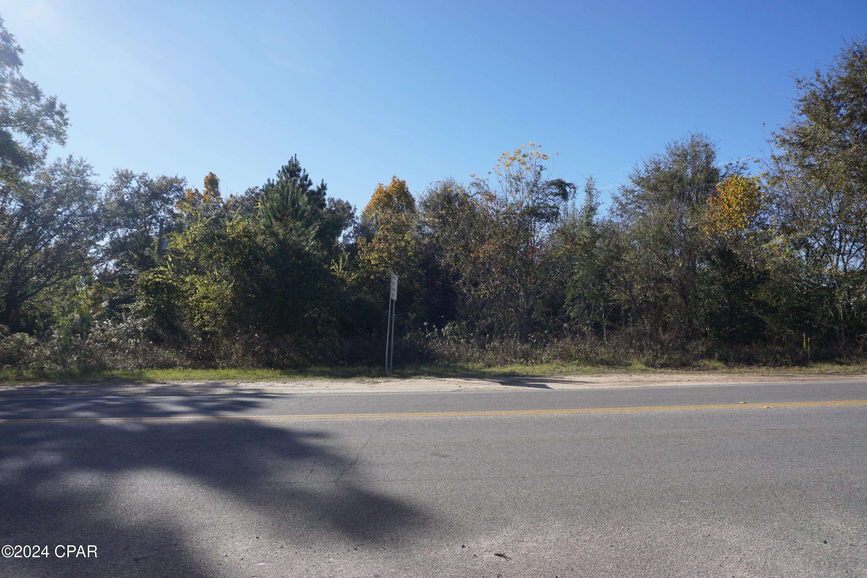 Sneads, FL 32460,xxx McKeown Mill RD