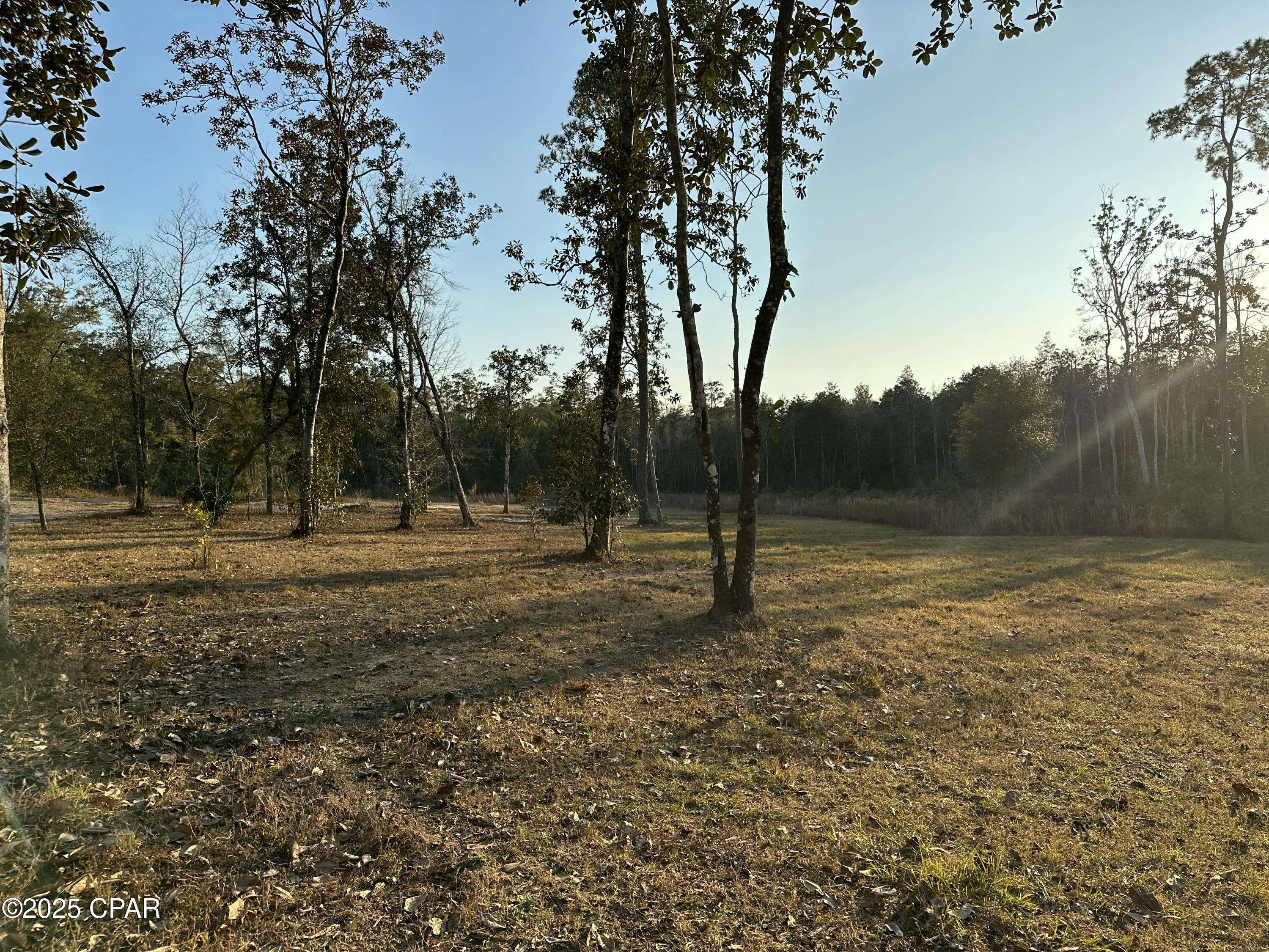 Ebro, FL 32437,0000 Strickland RD