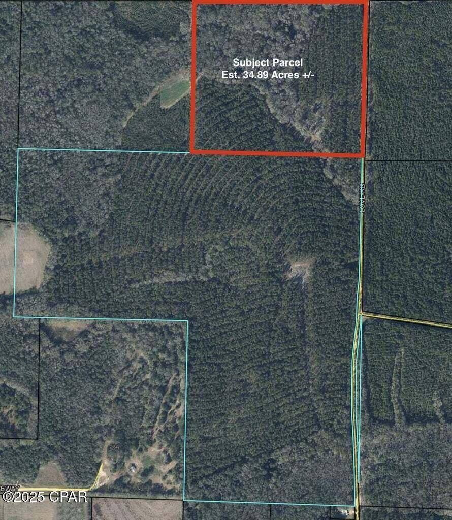Bonifay, FL 32425,Tract#6301 W Love Road