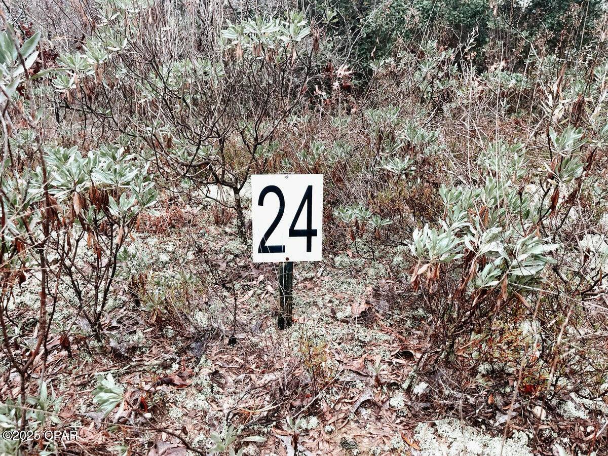 Chipley, FL 32428,24 Cynthia WAY