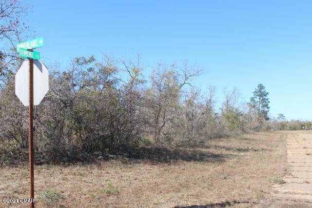 Chipley, FL 32428,0 Dumont AVE #Lot 8