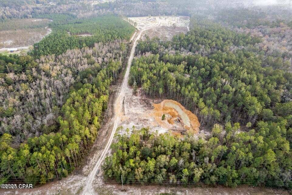 Hosford, FL 32334,0 NE State Road 20