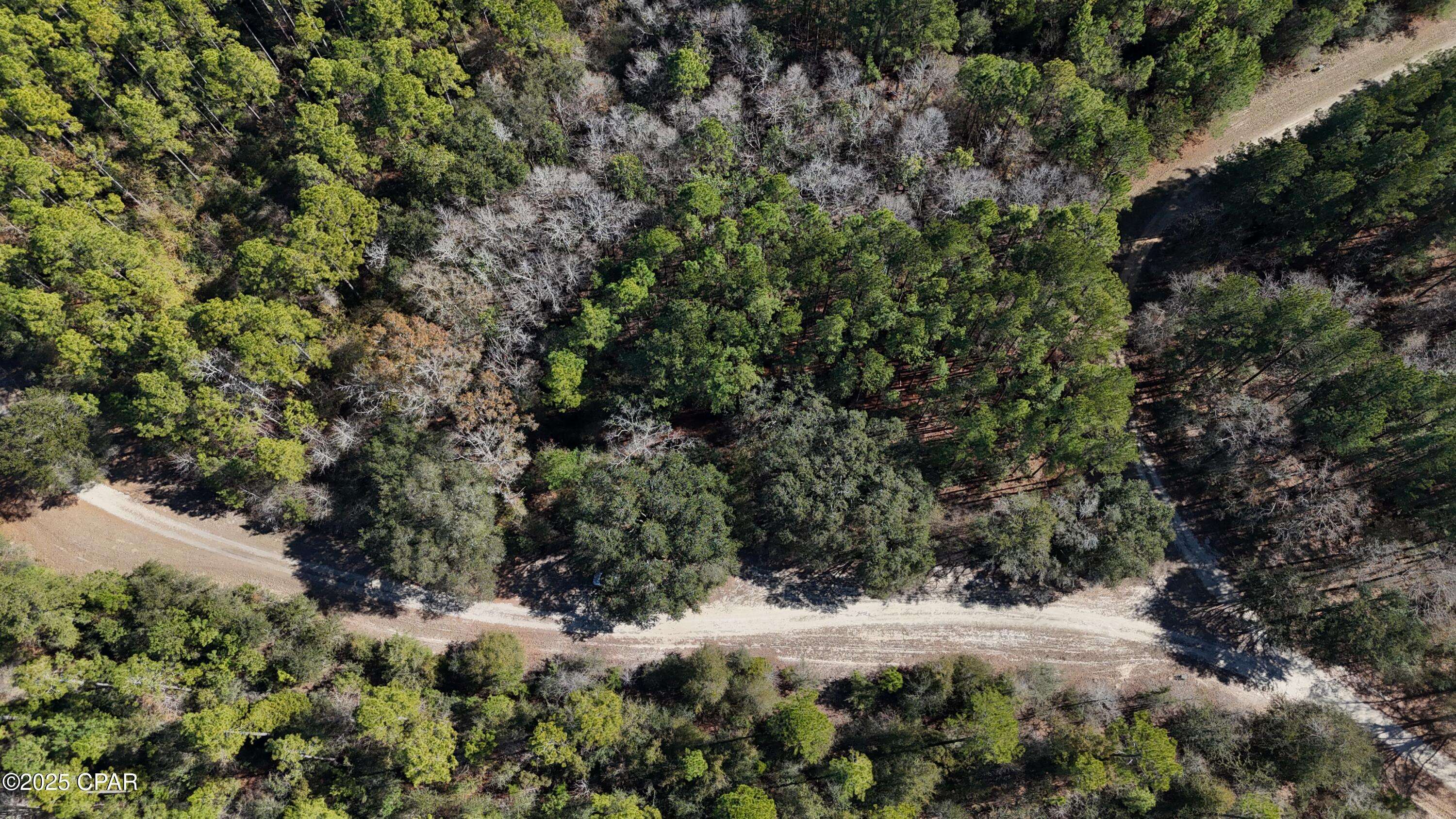 Bonifay, FL 32425,00 Canopy Oak Blvd