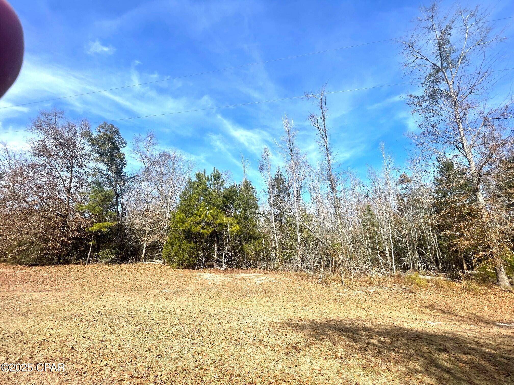 Marianna, FL 32448,Lot 1 Whitetail DR