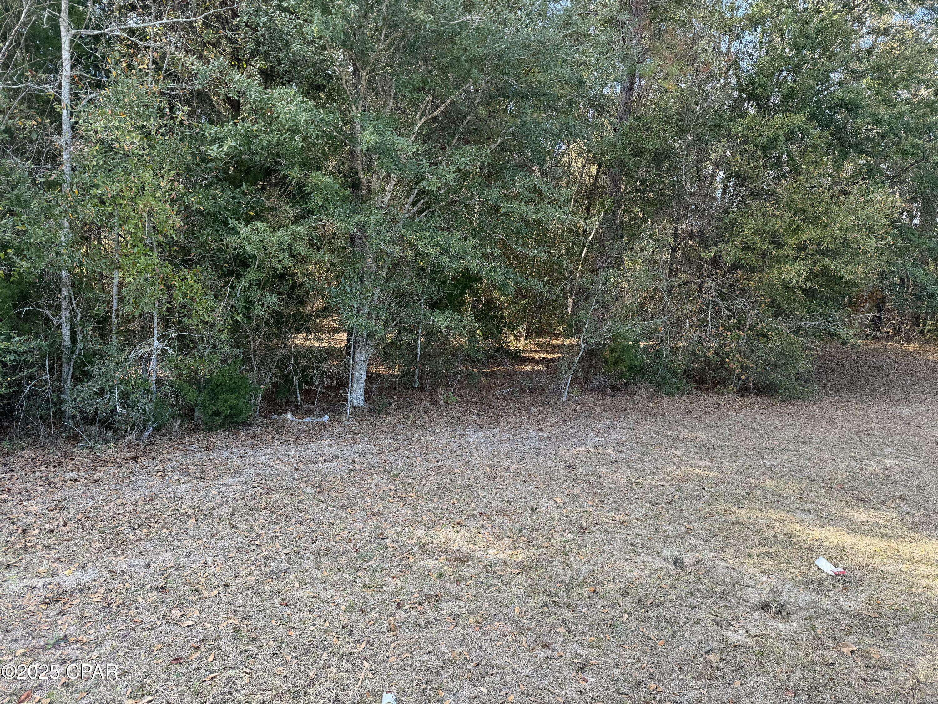Chipley, FL 32428,0000 South BLVD
