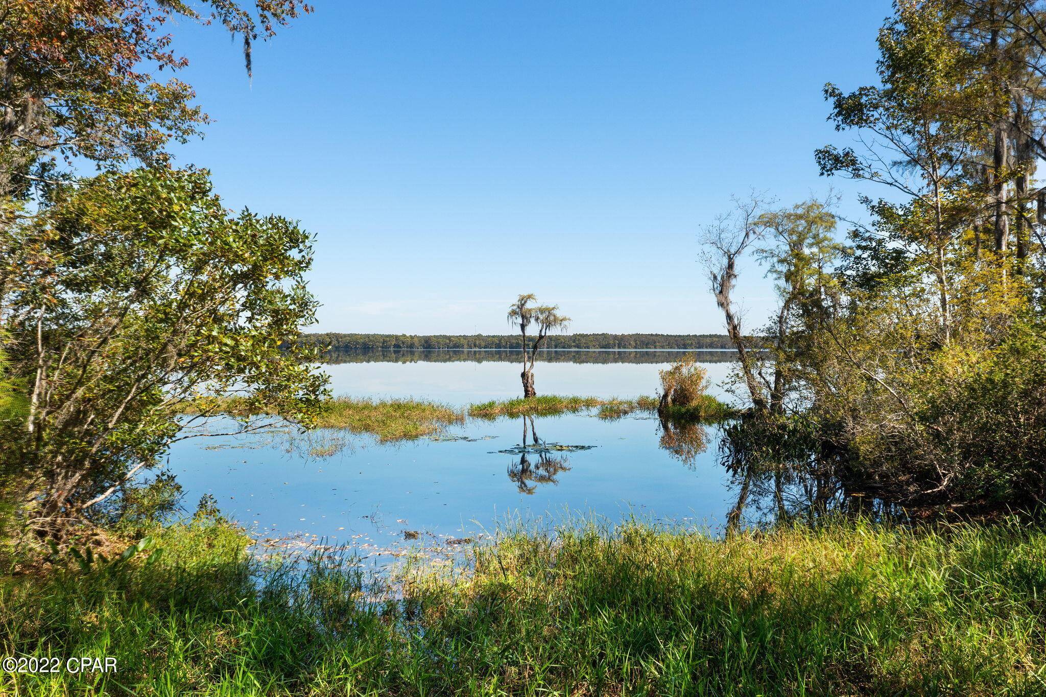 Vernon, FL 32462,3199 Pate Pond RD