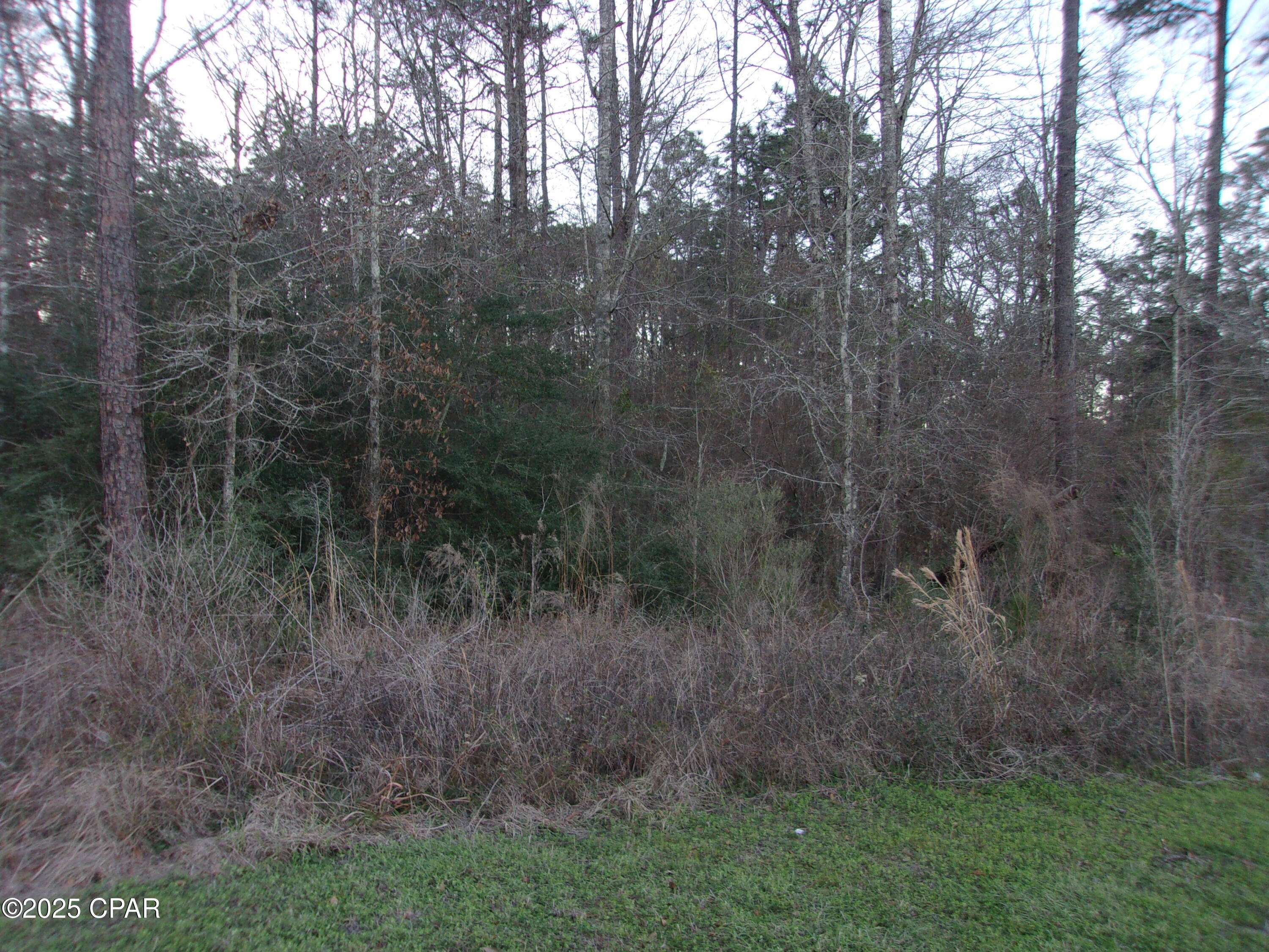 Bonifay, FL 32425,000 S Highway 79