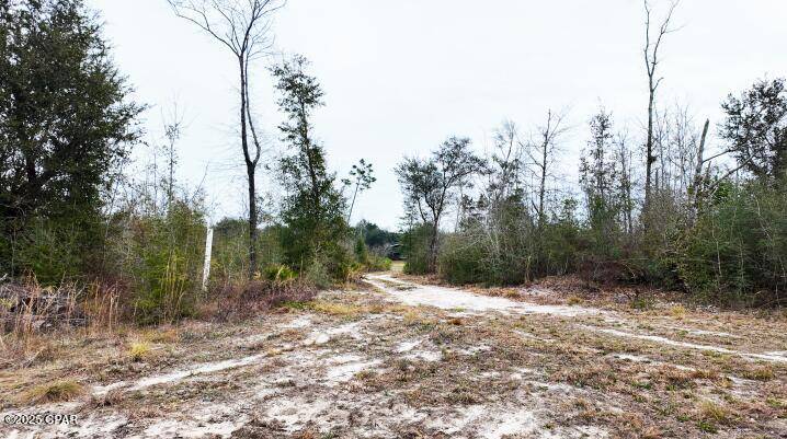 Youngstown, FL 32466,7638 Campflowers RD
