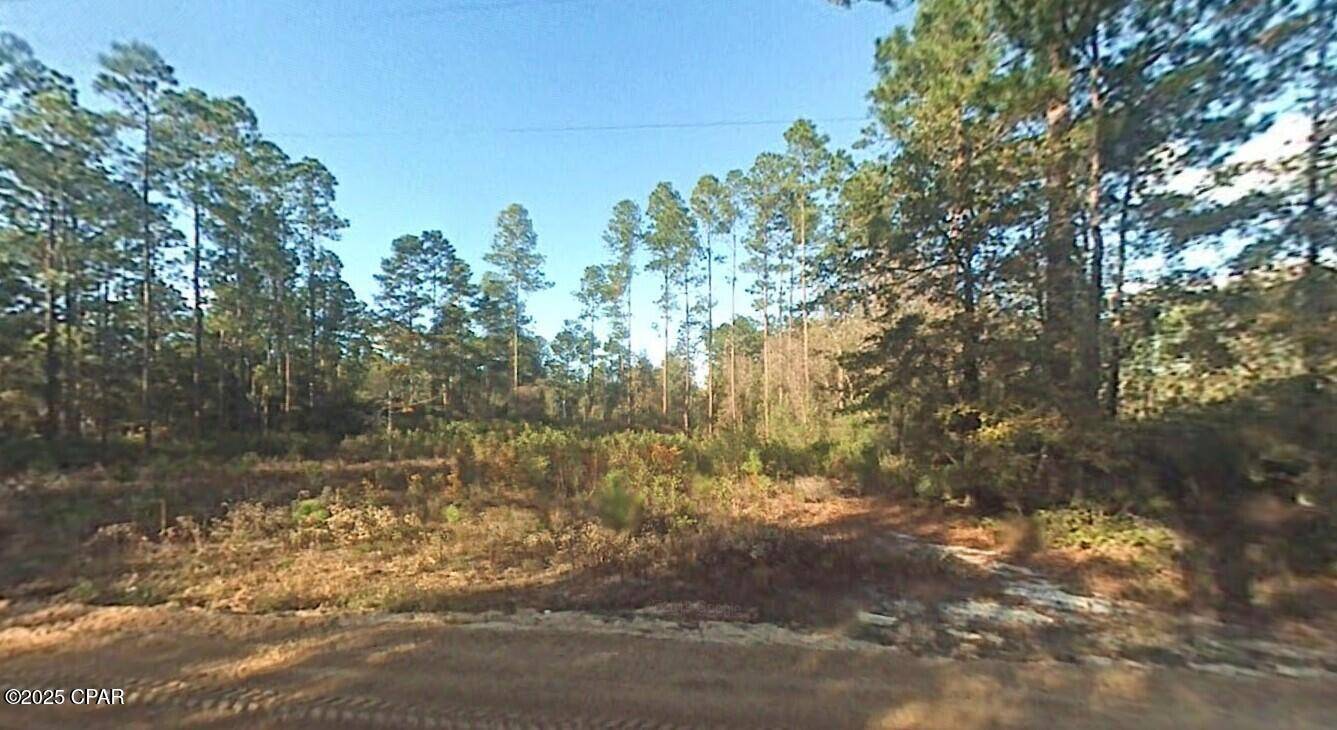 Fountain, FL 32438,0 Laurel ST